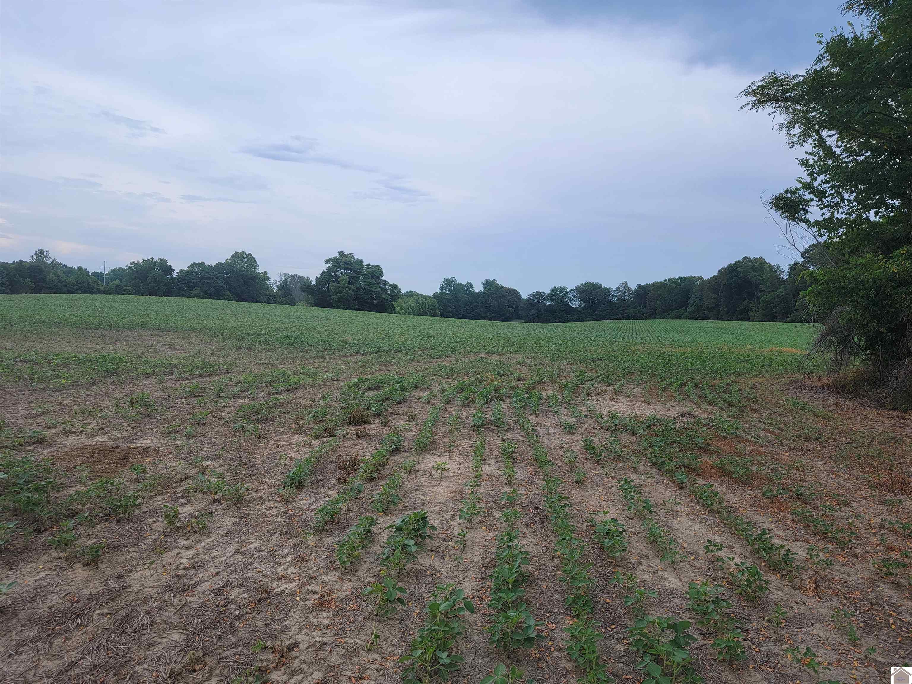 750 State Route 818 Property Photo 6