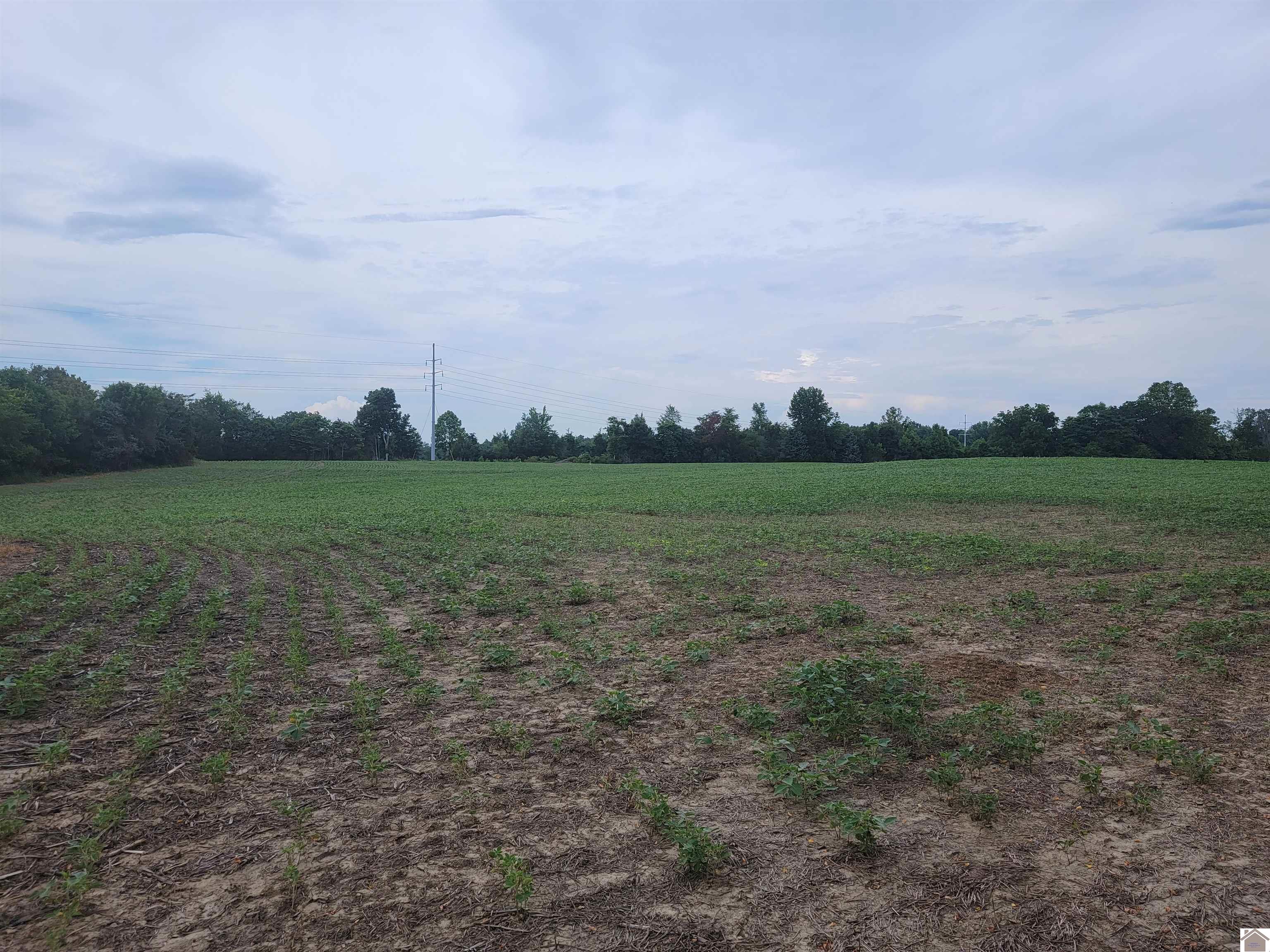 750 State Route 818 Property Photo 7