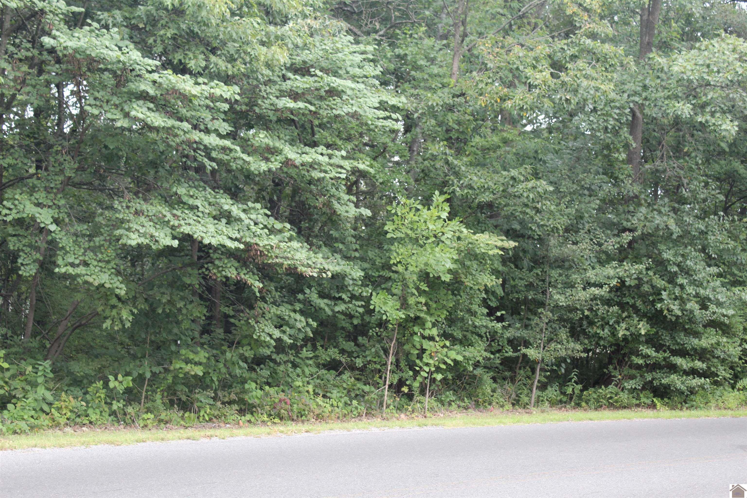 4827-4847 Buckner Lane Property Photo 1