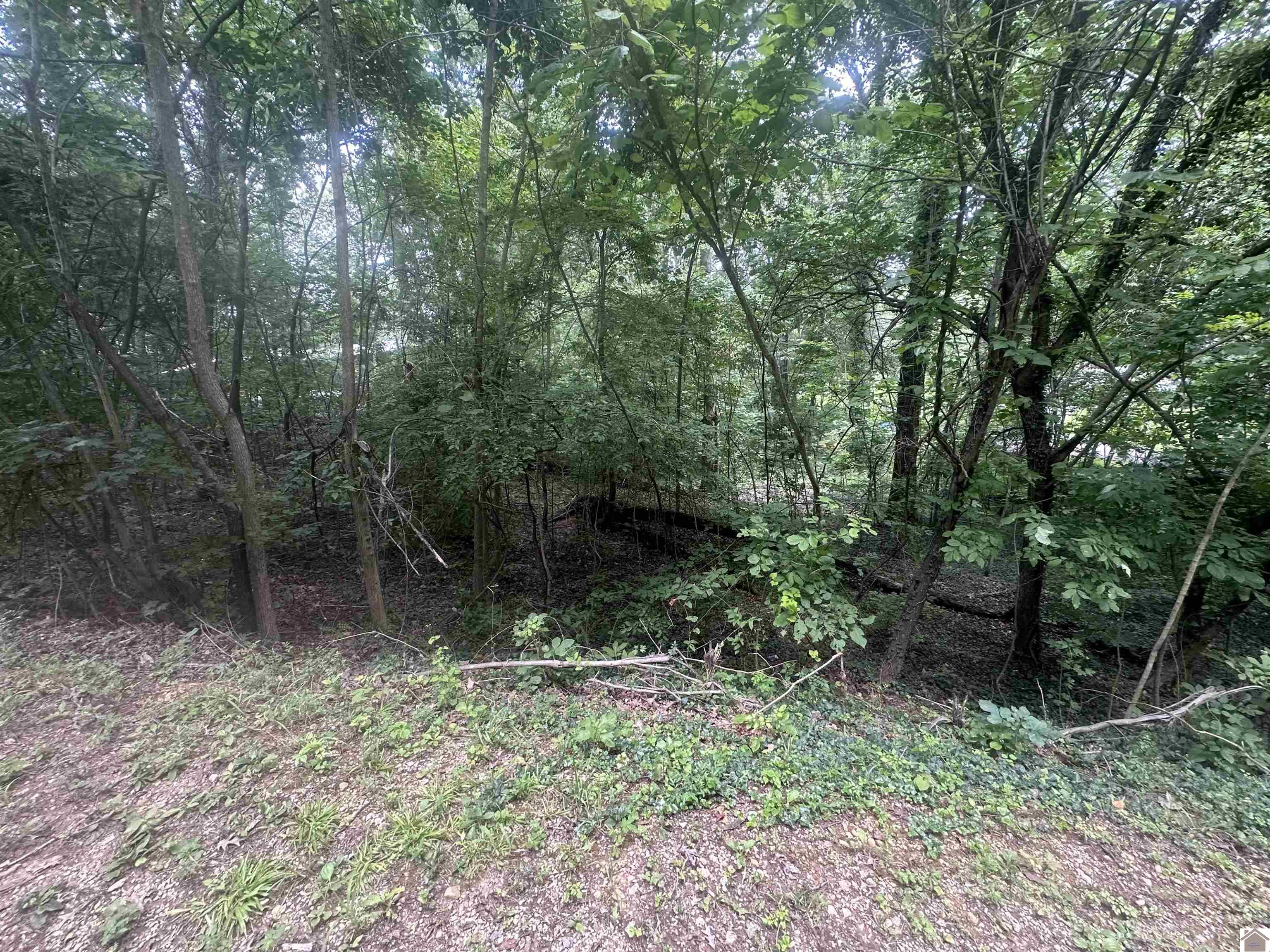 000 Country Hills Dr. Property Photo 1