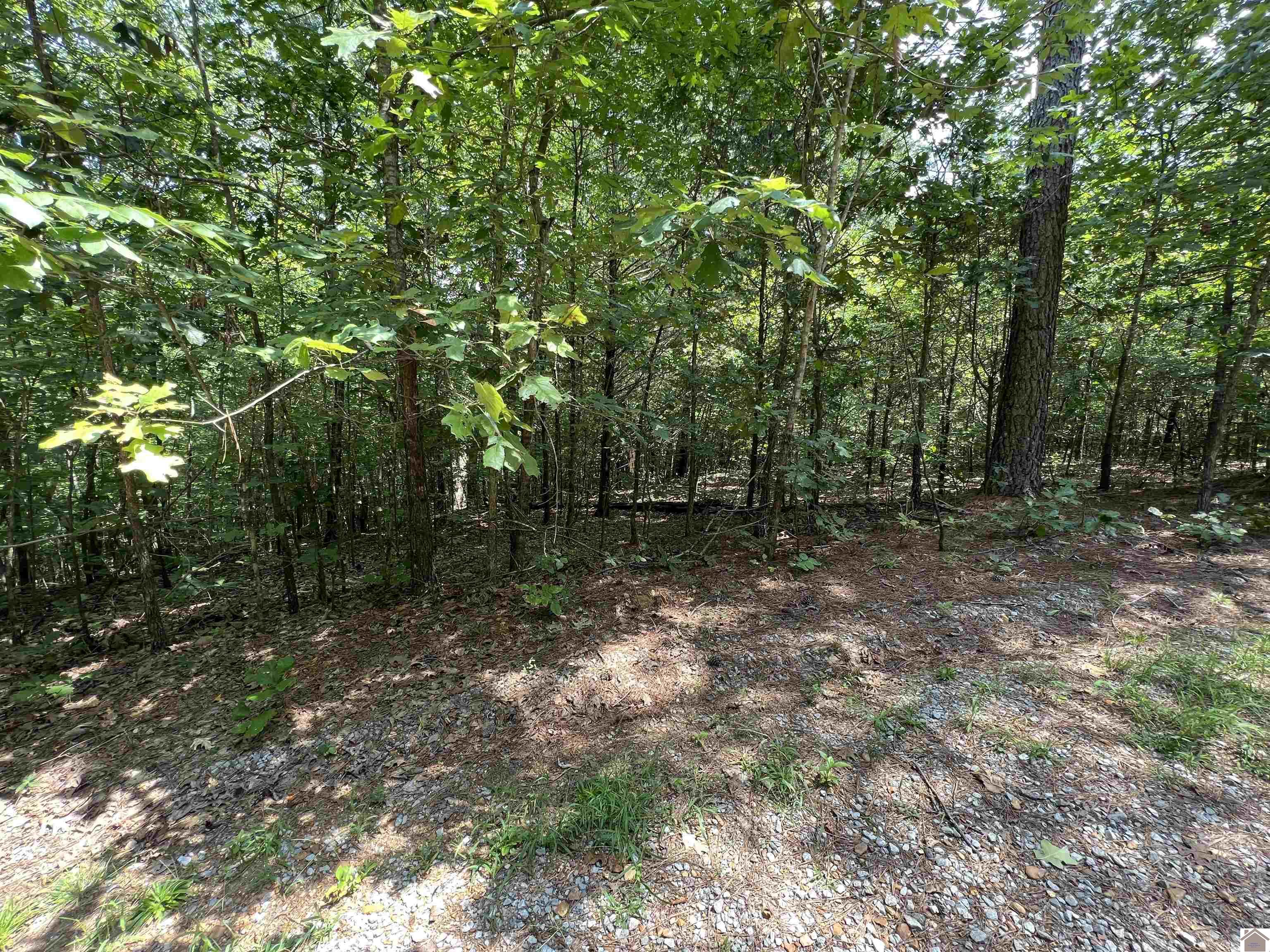 00 Pintail Ln Property Photo 1