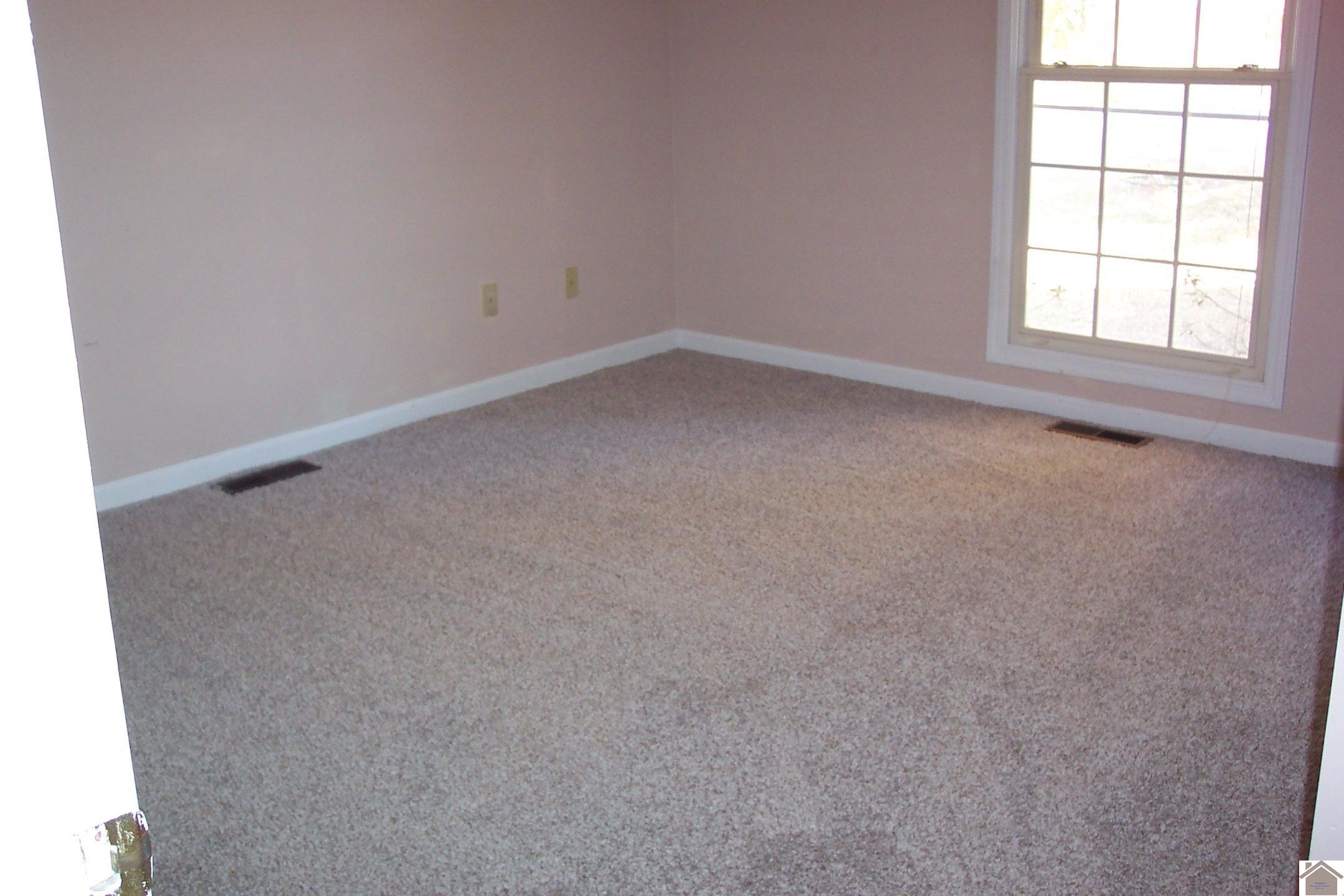 5244 Buckner Lake Circle Property Photo 12