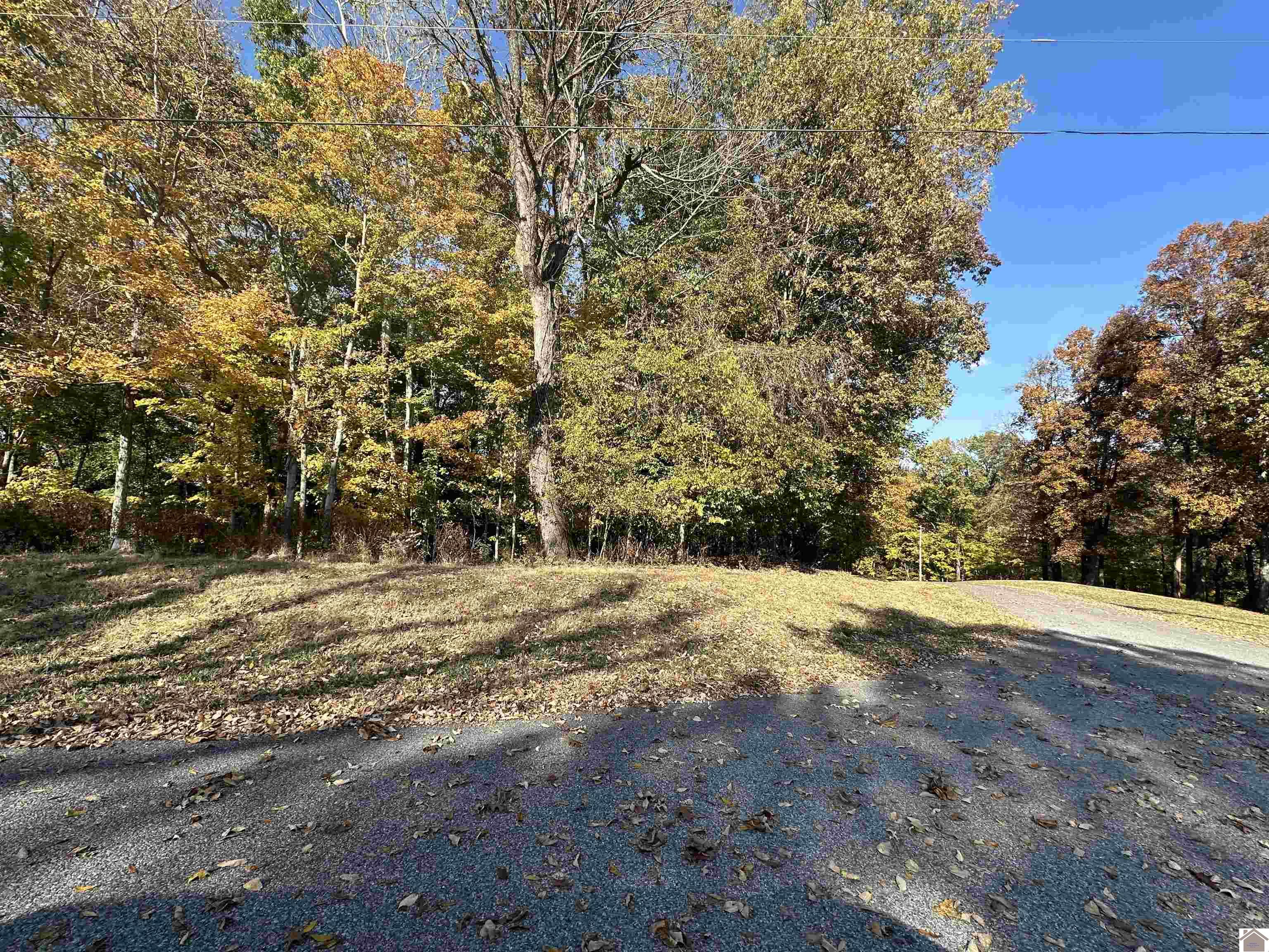 130 Nida Property Photo 3