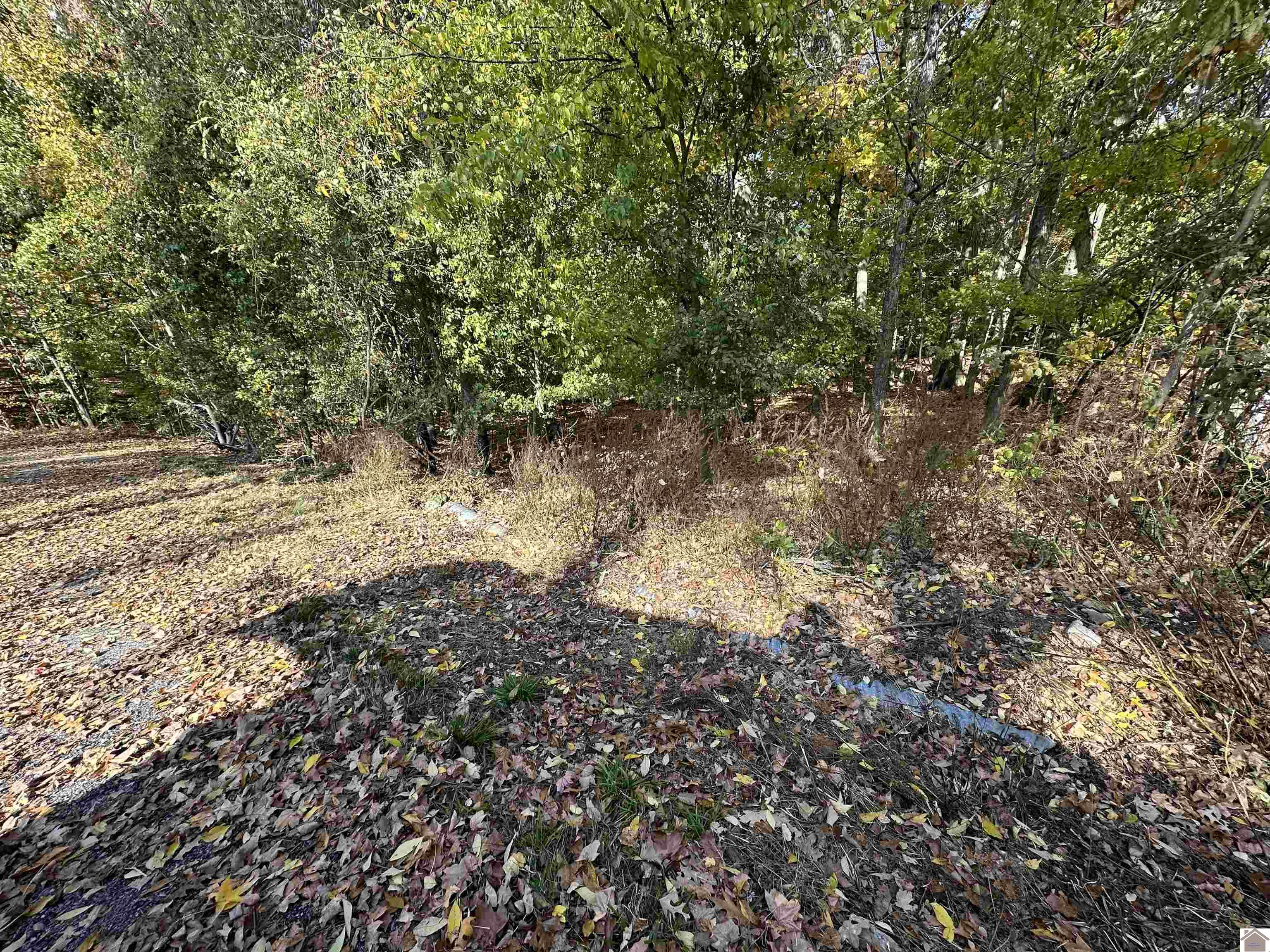 130 Nida Property Photo 5