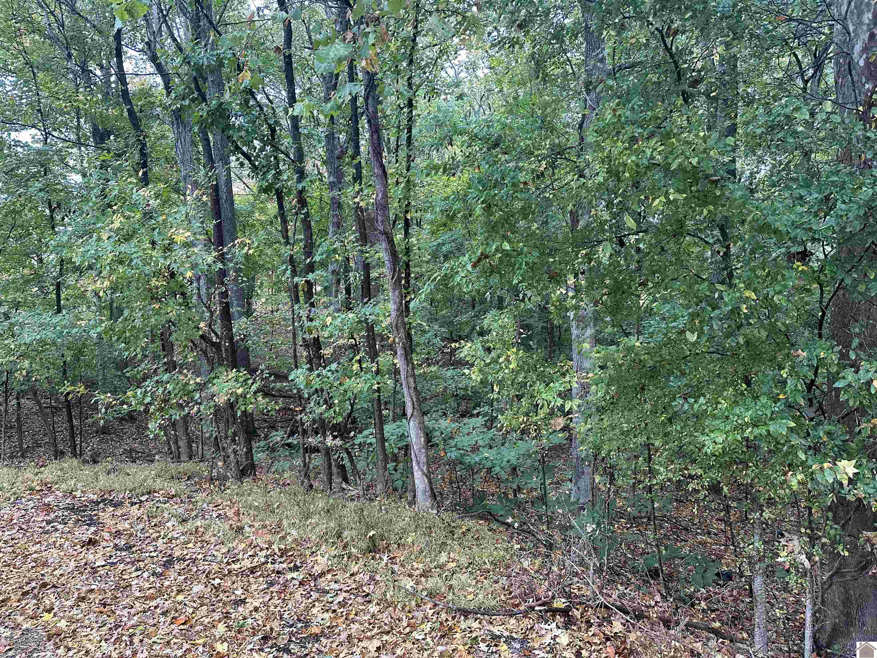 130 Nida Property Photo 9