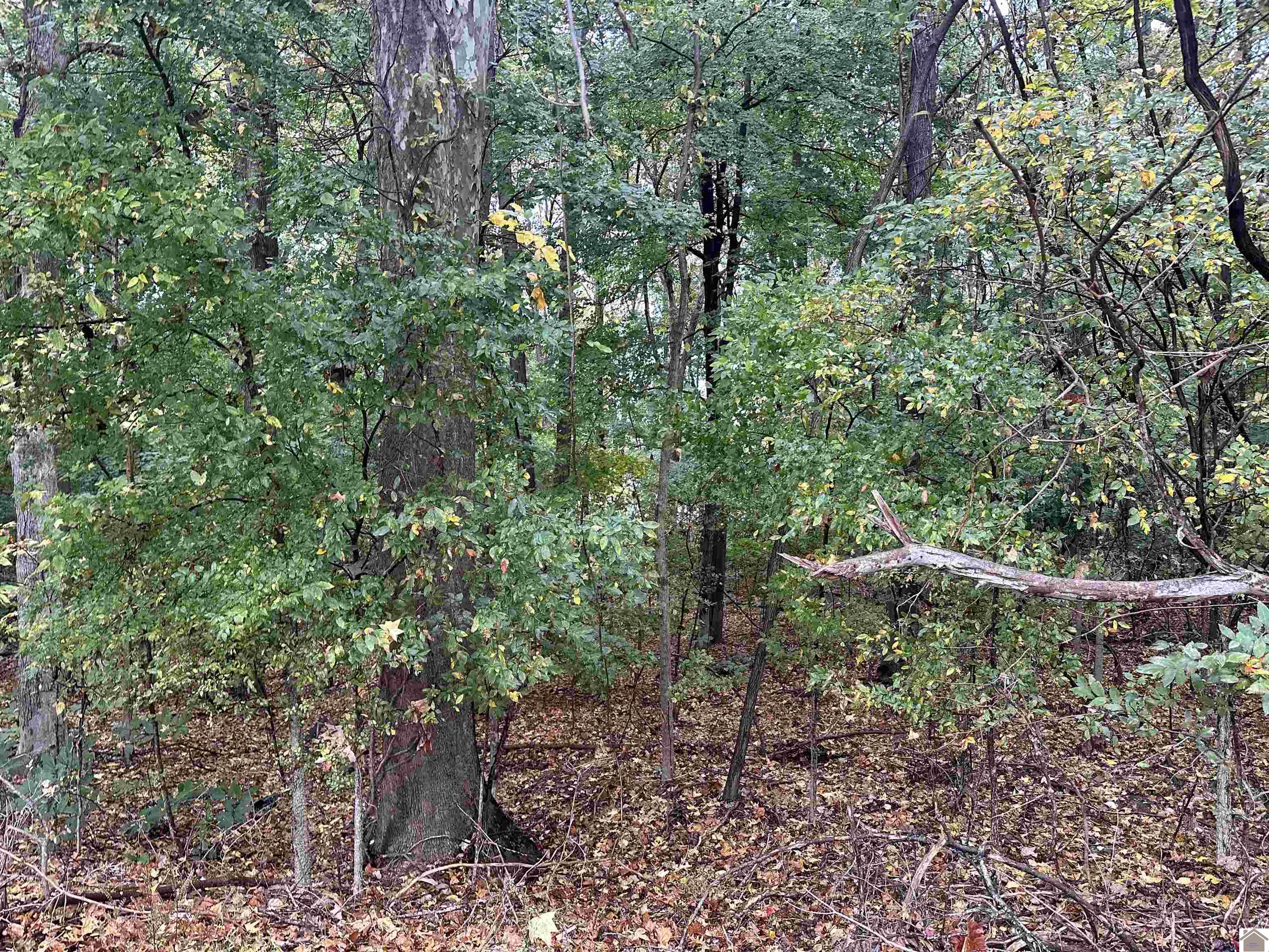 130 Nida Property Photo 10