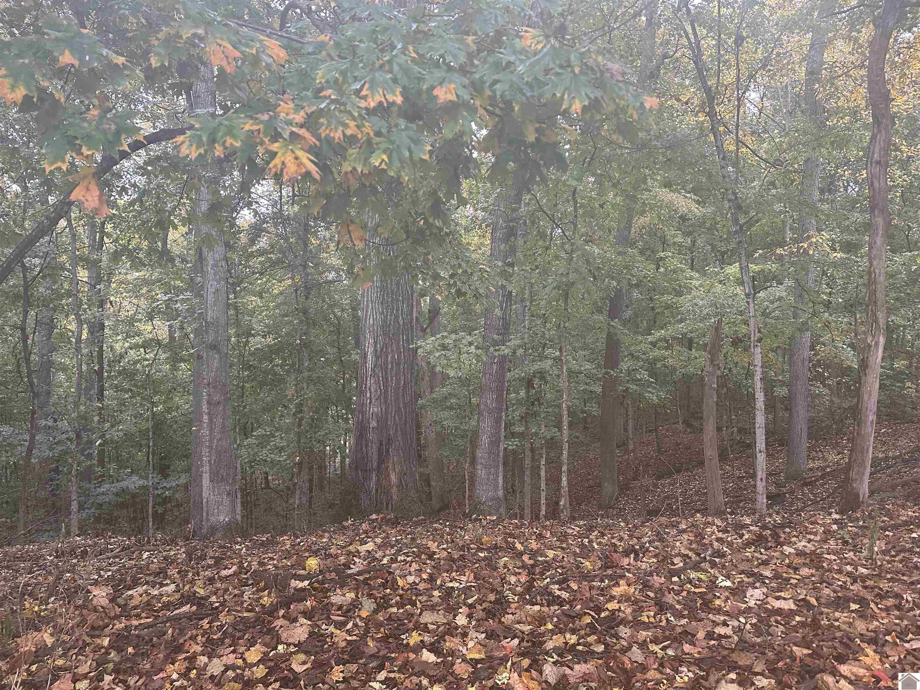 130 Nida Property Photo 12