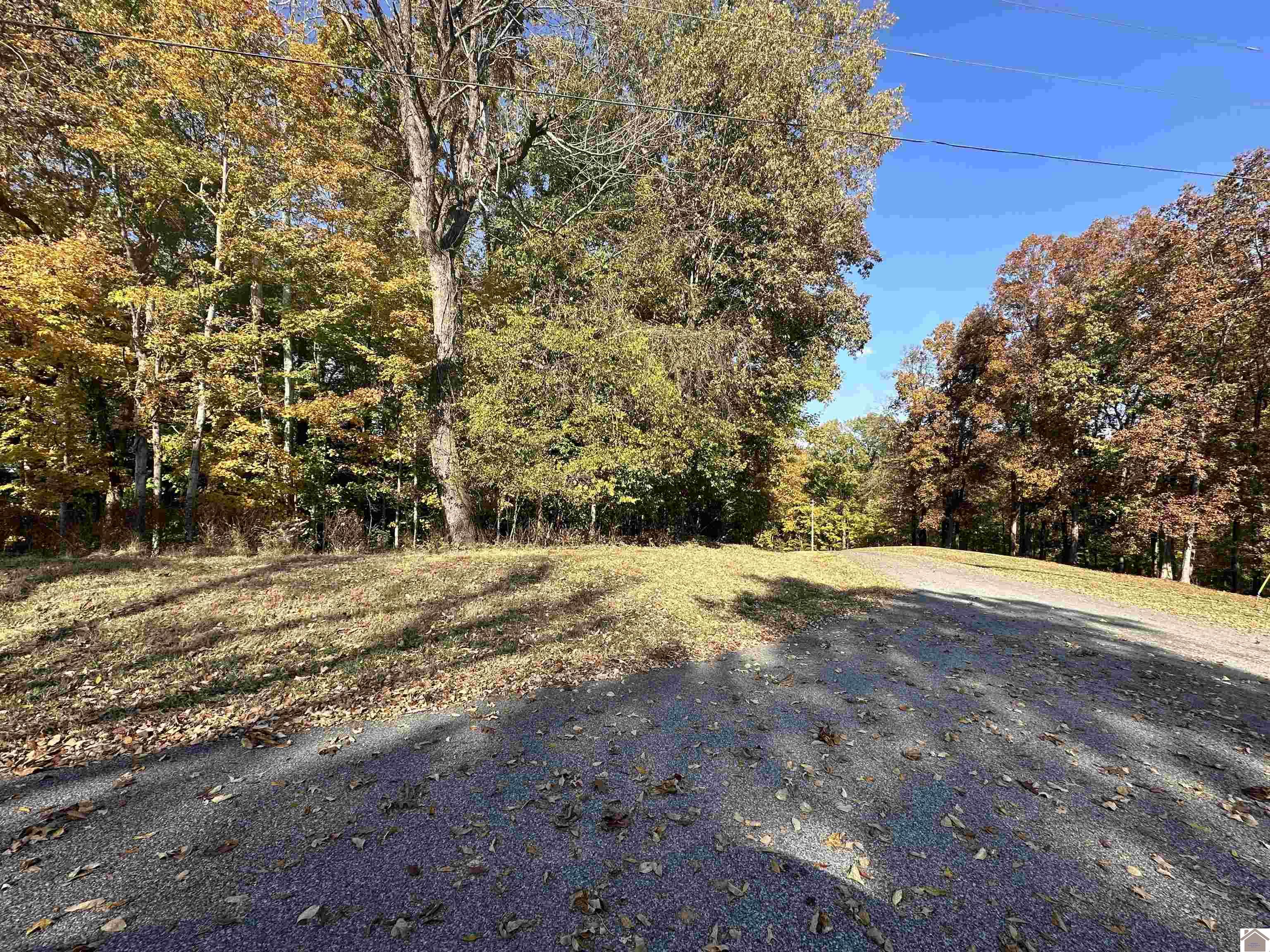 130 Nida Property Photo 15