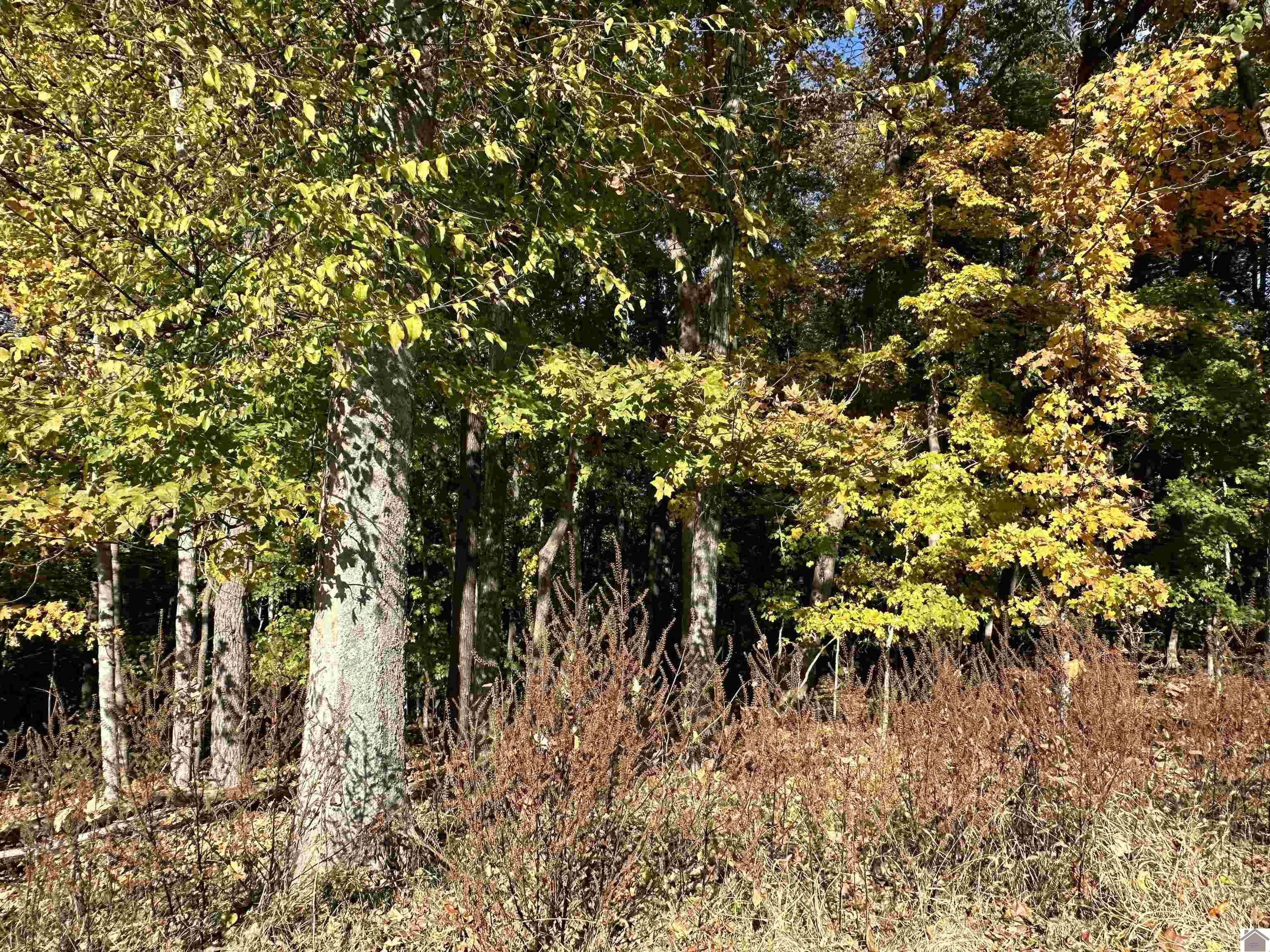 130 Nida Property Photo 17