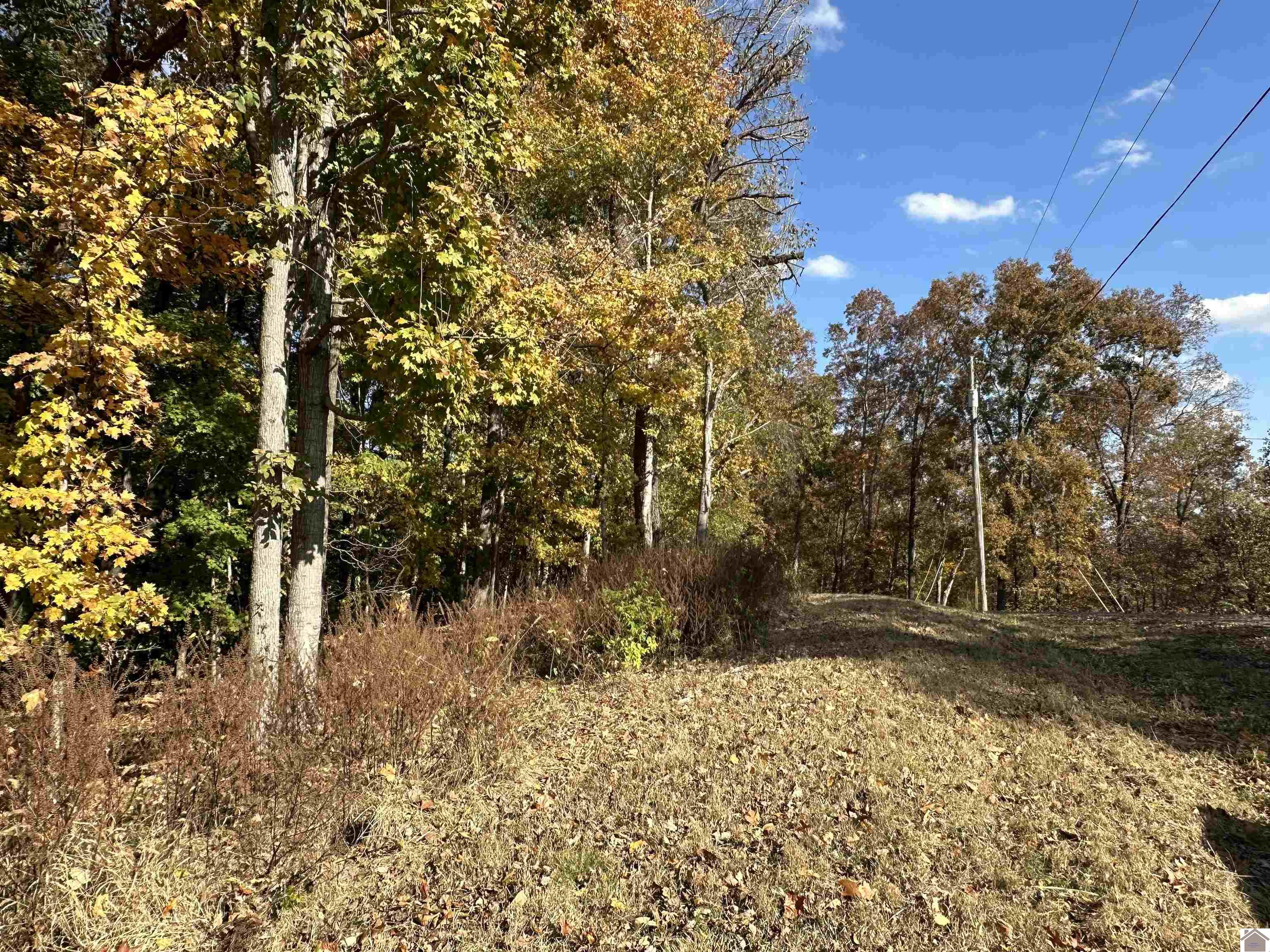 130 Nida Property Photo 18