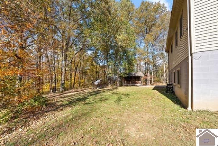 437 Blue Springs Blvd Property Photo 35