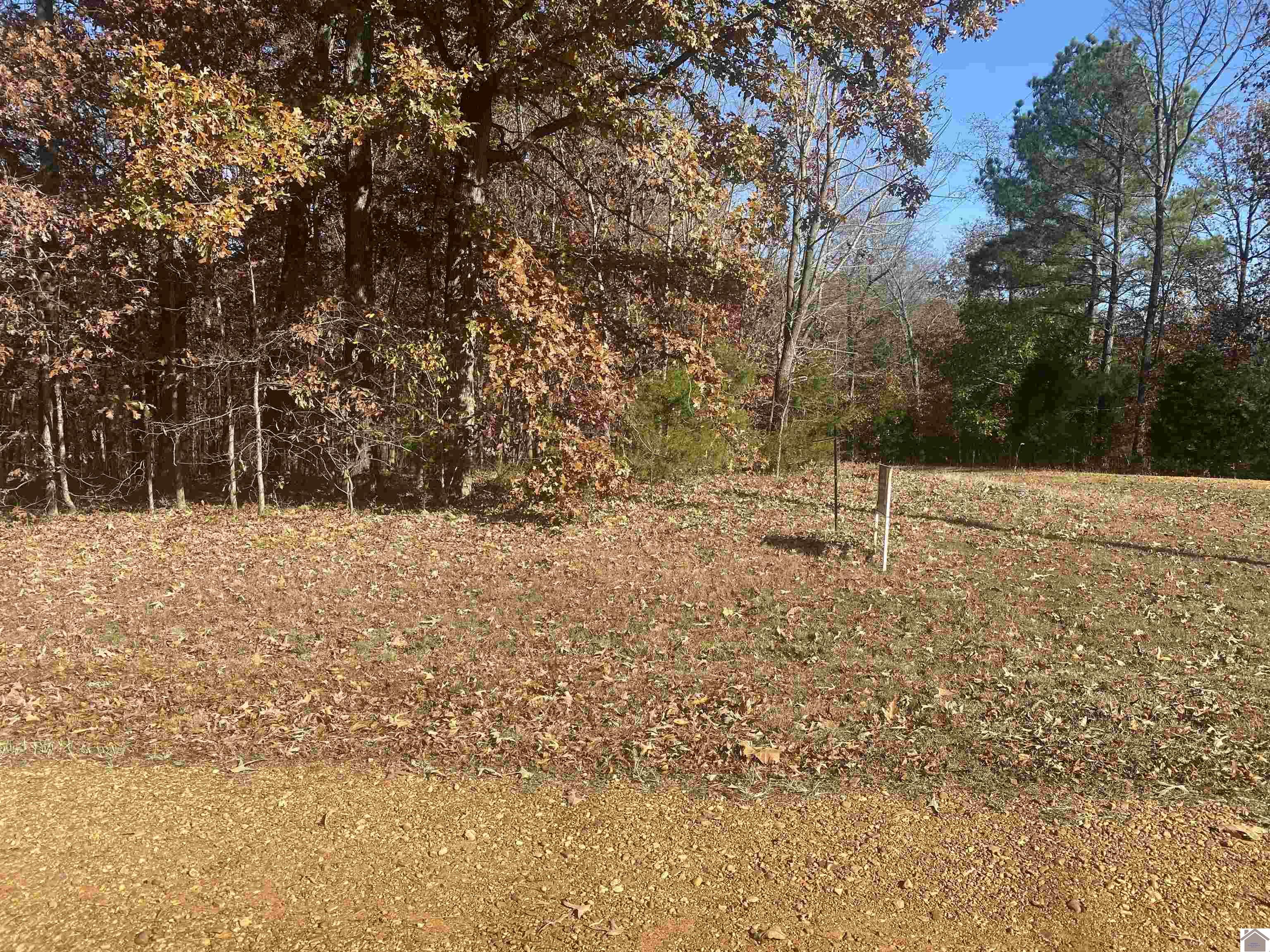 000 Smethers Lane Property Photo 1