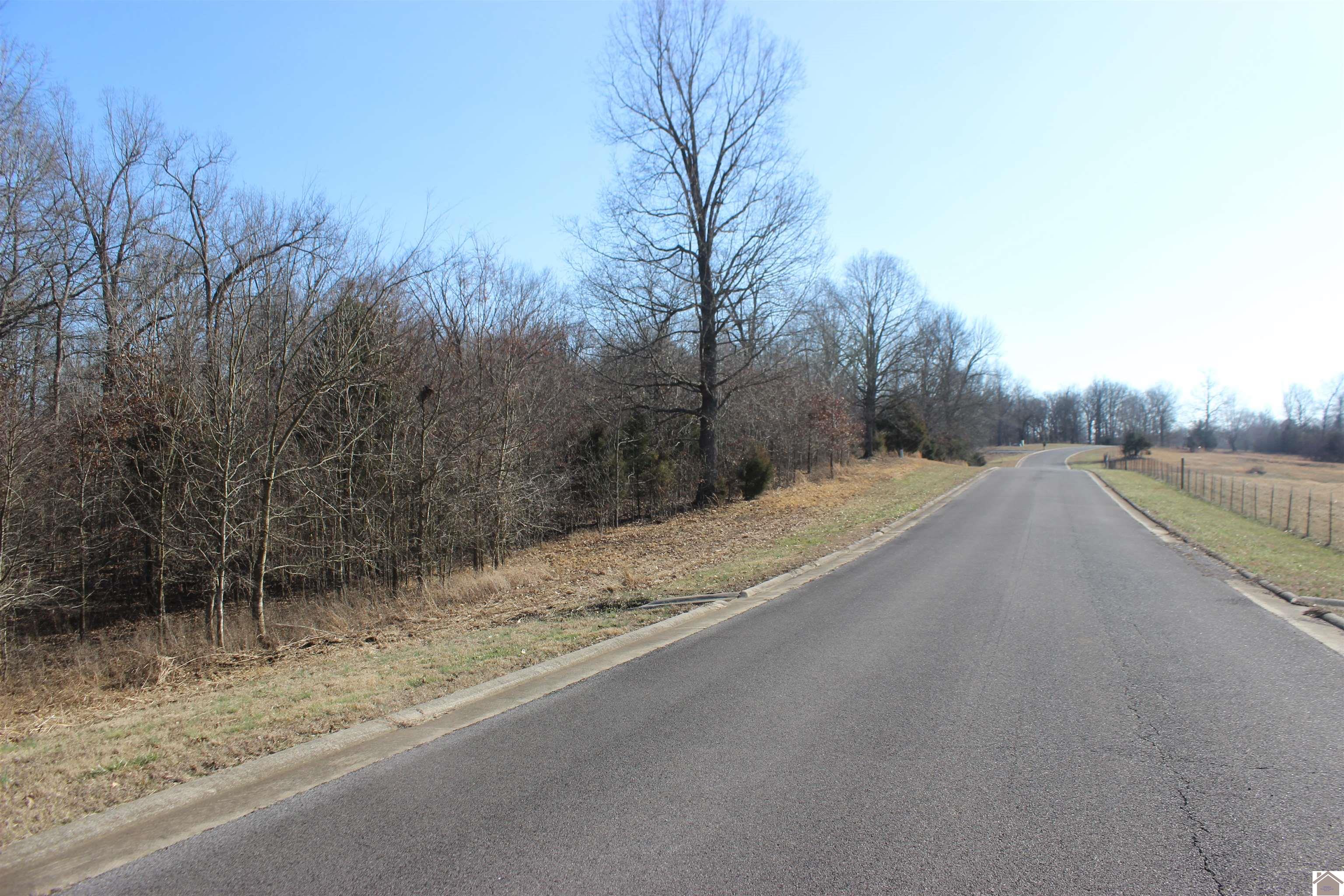 000 Palmer Dr - Lot 51 Property Photo 1