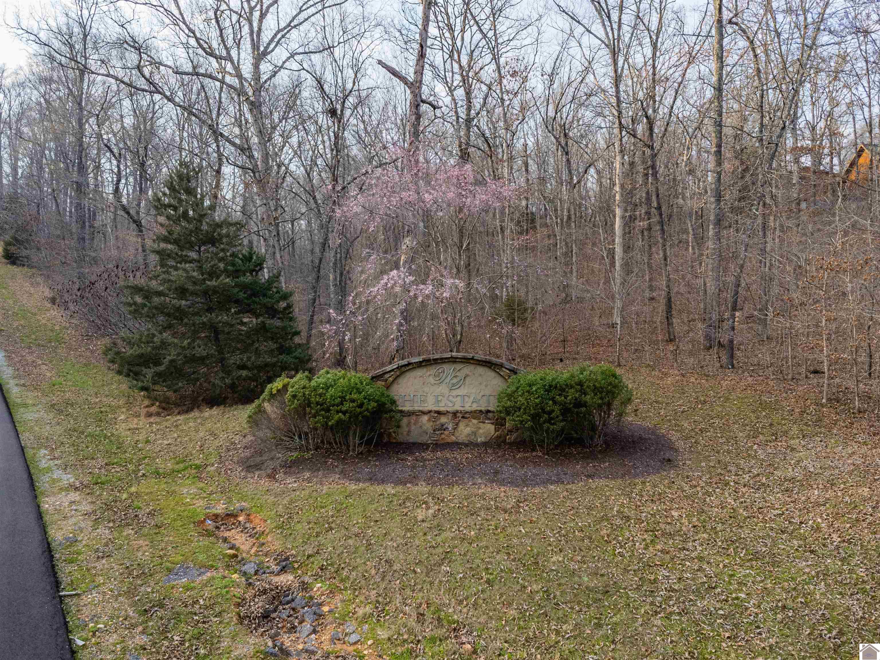 Lot 169 Shine Lane Property Photo 14