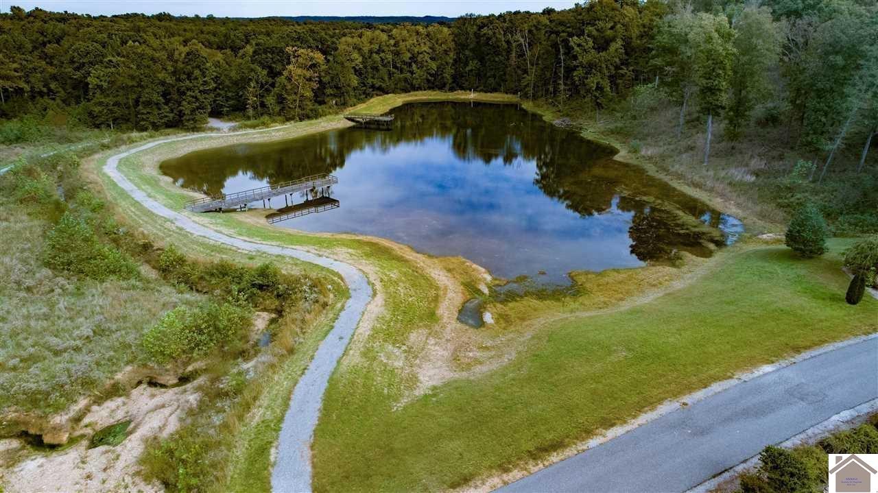 Lot 169 Shine Lane Property Photo 24