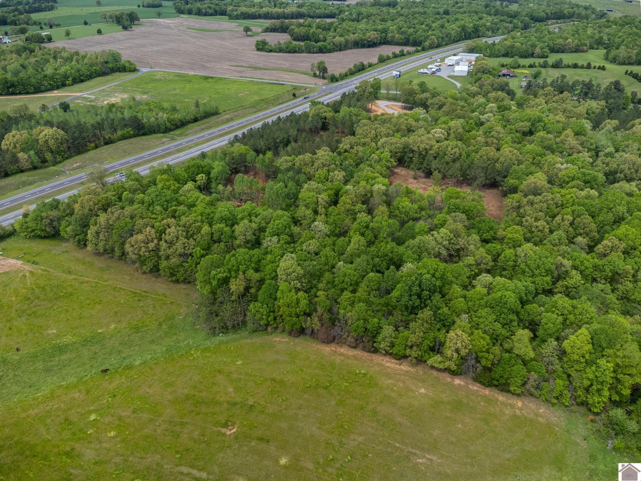 000 Palestine Church Rd./ Hwy 80 E Property Photo 2
