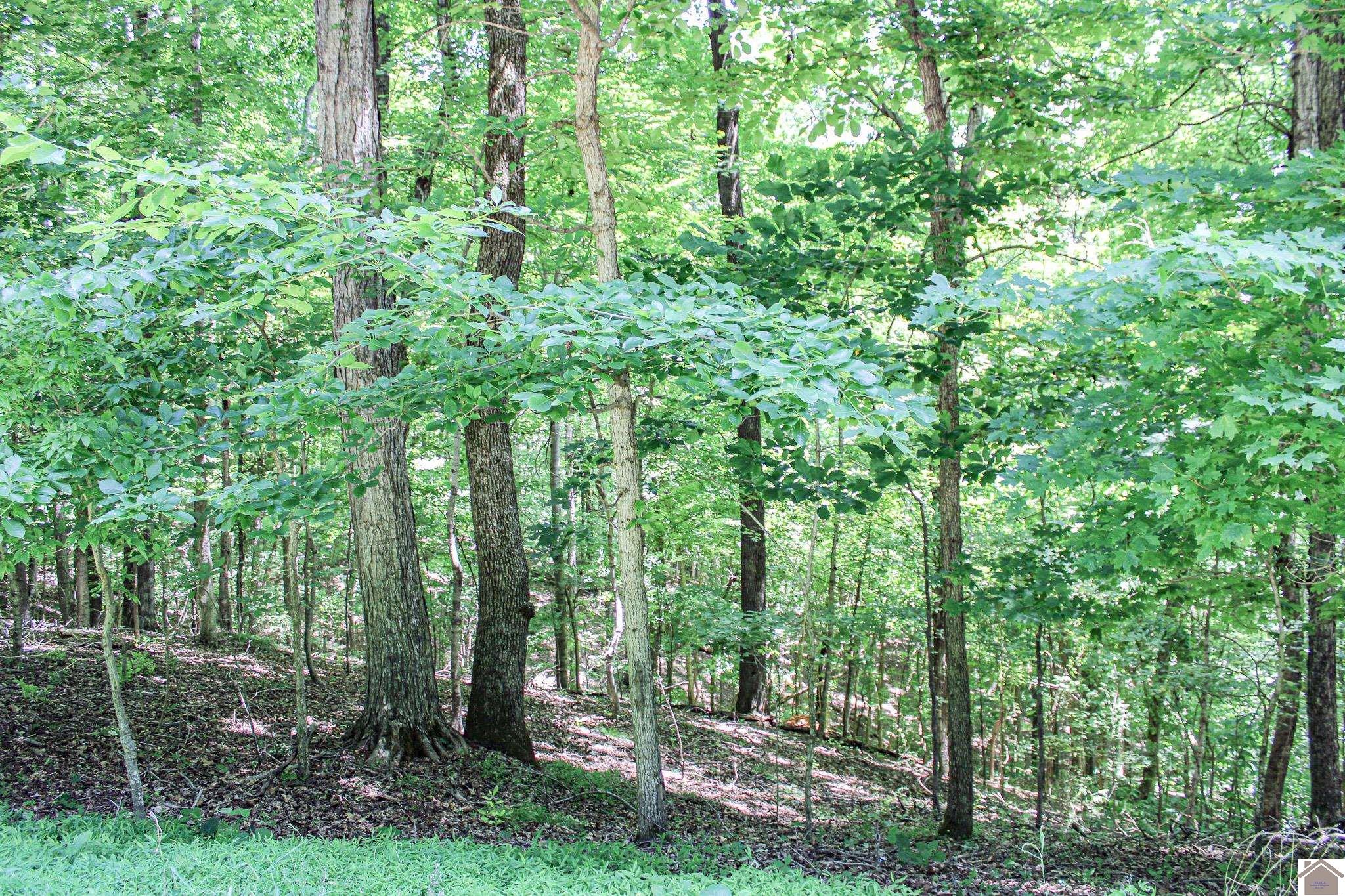 0 Algonquin Road Property Photo 1