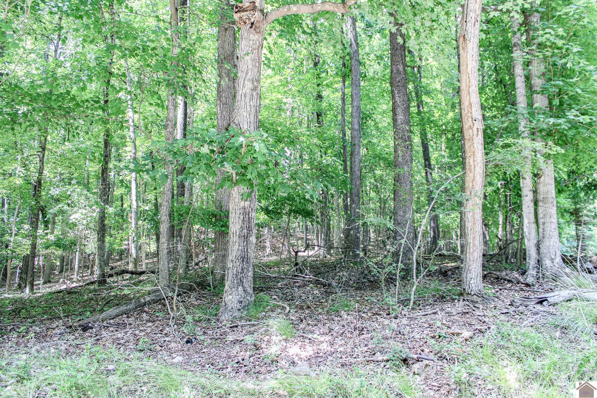 0 Algonquin Road Property Photo 6