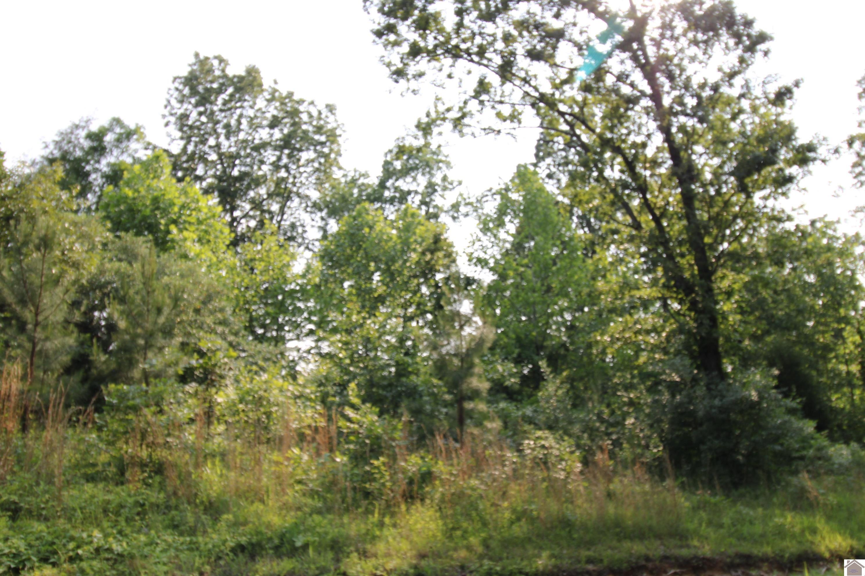 00 Paddle Wheel Road Property Photo 1