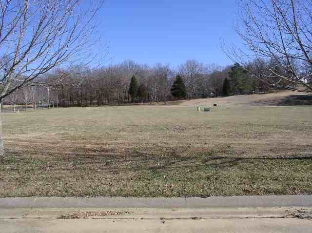 Lots 86 & 87 Country Club Ln Property Photo 1