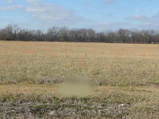 421 Burd Circle Property Photo 1