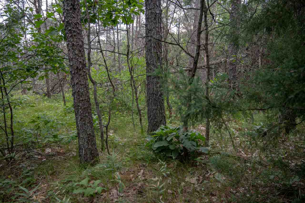 N8275 Woodland Trail Property Photo