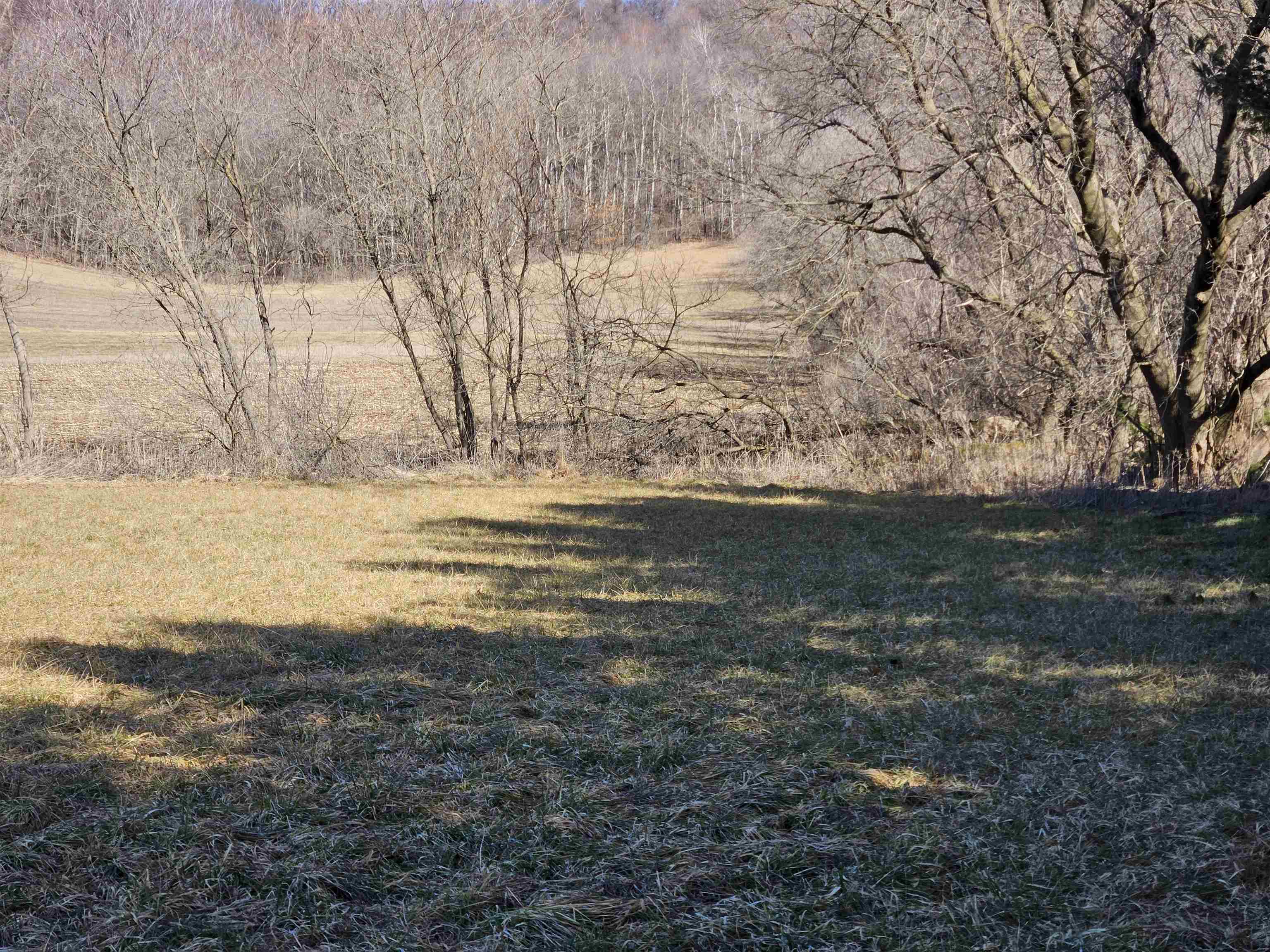 123.5 +/- Acres Hell Hollow Road Property Photo