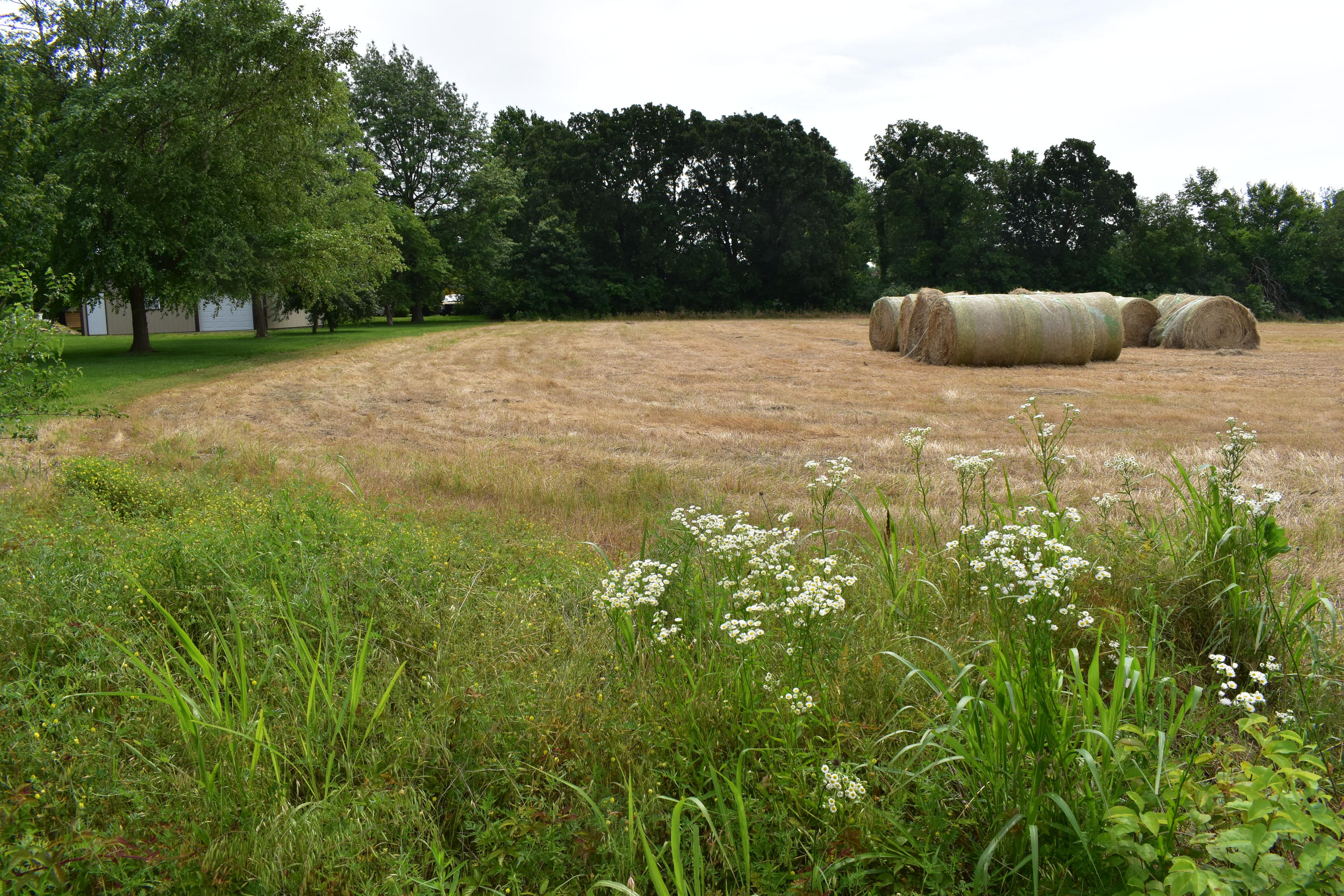 Lot 7 Brandermill Property Photo 1