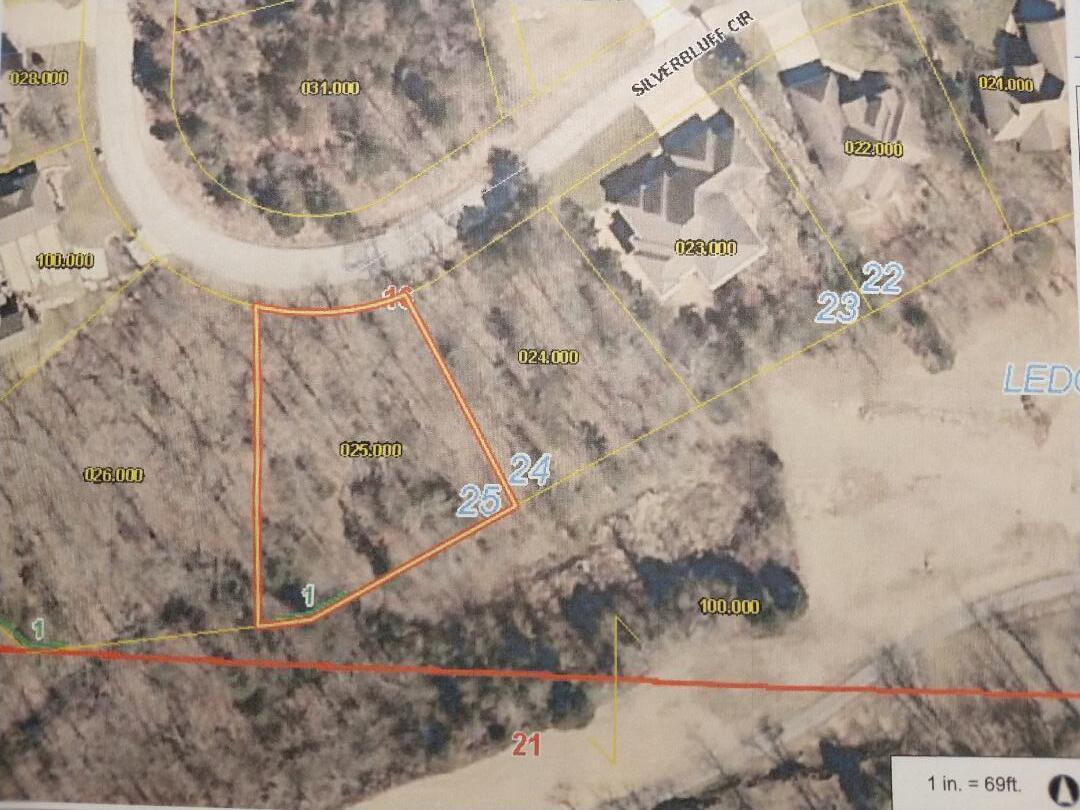909 Silver Bluff Circle Property Photo 1