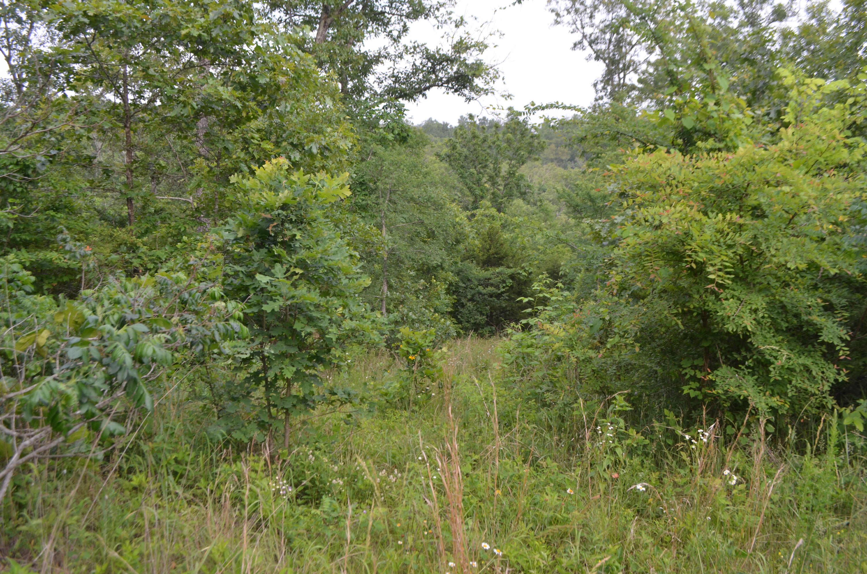 Lot 6 Scenic Heights Property Photo 1