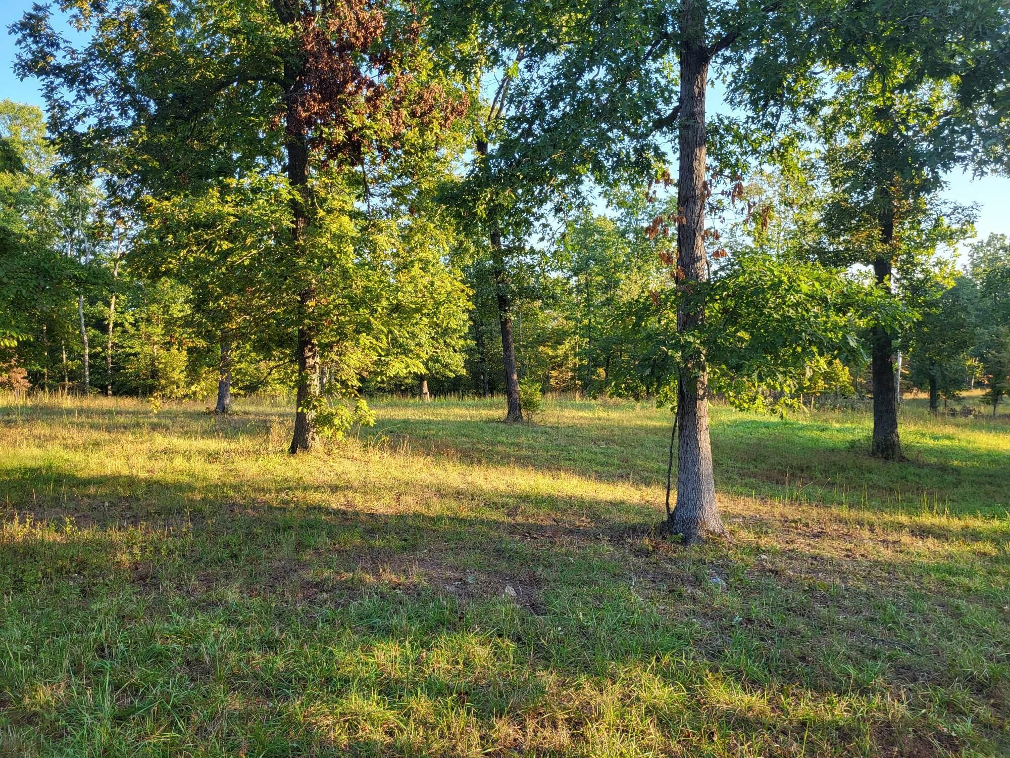 000 Tbd Fowler Drive Property Photo 1