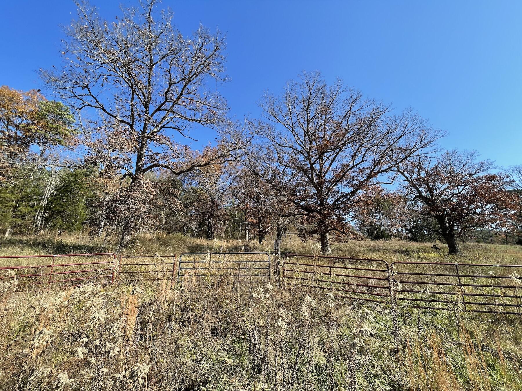 000 County Road 305 Property Photo