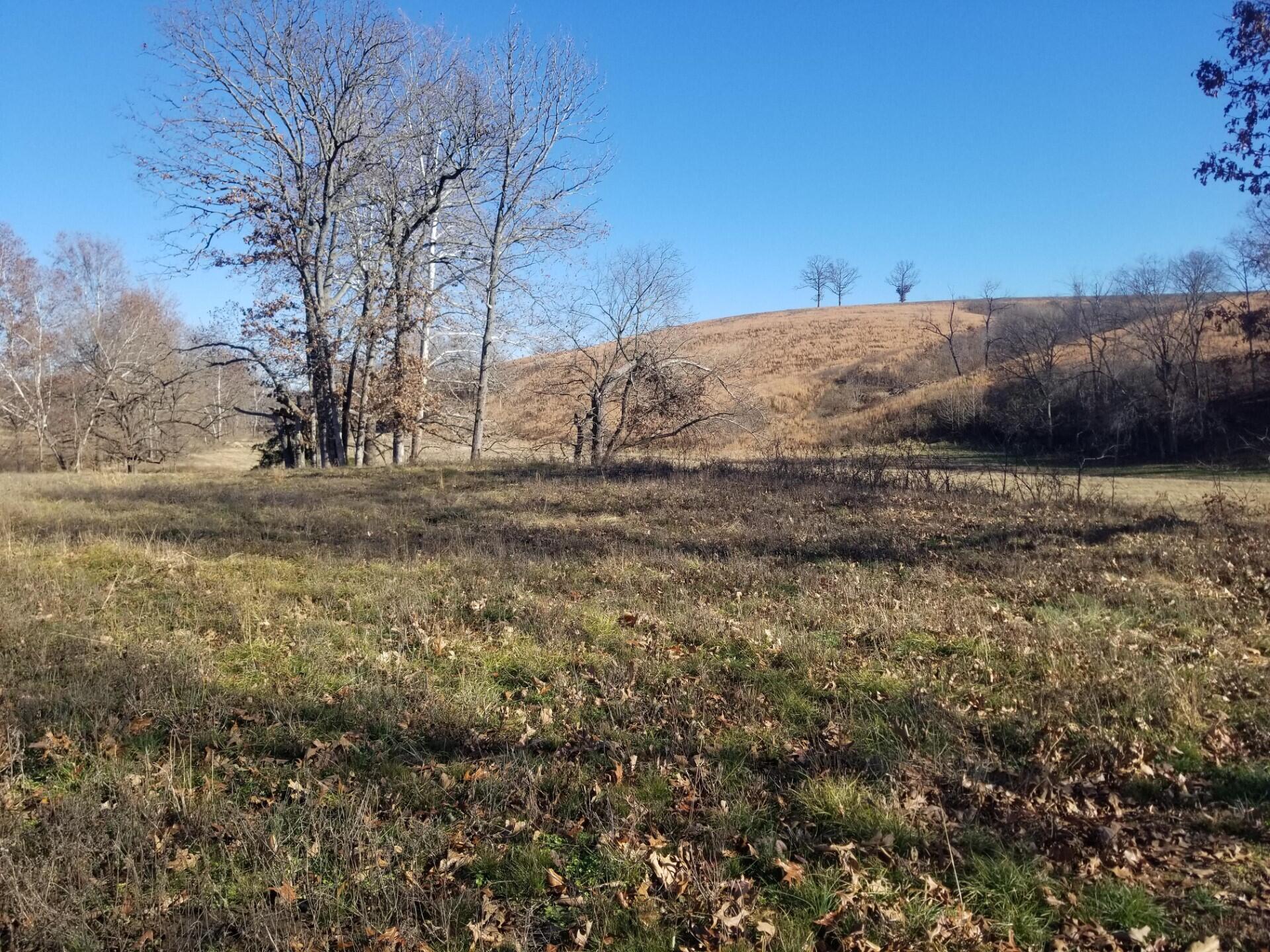 66.40 Ac Blackfoot Hollow Road Property Photo