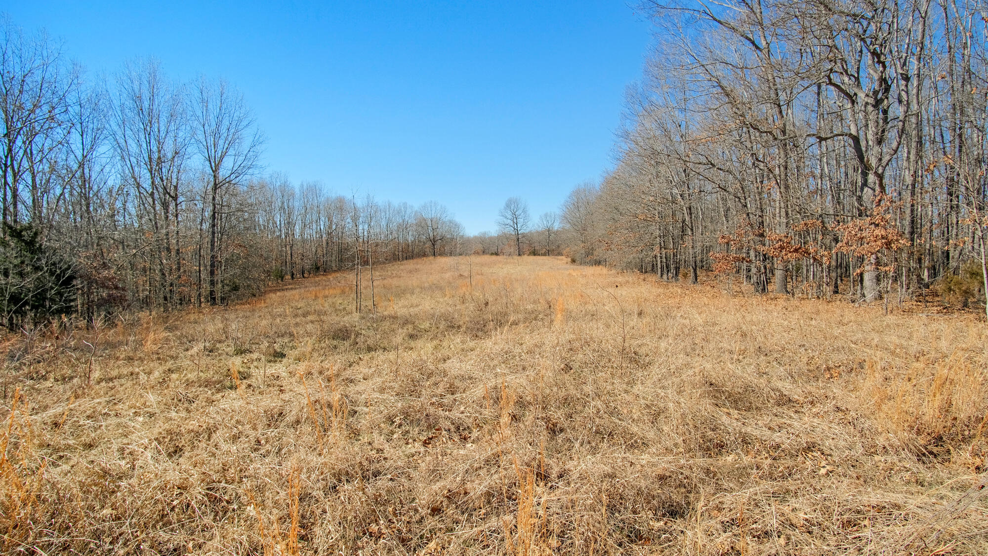 000 County Road 8990 Property Photo 1