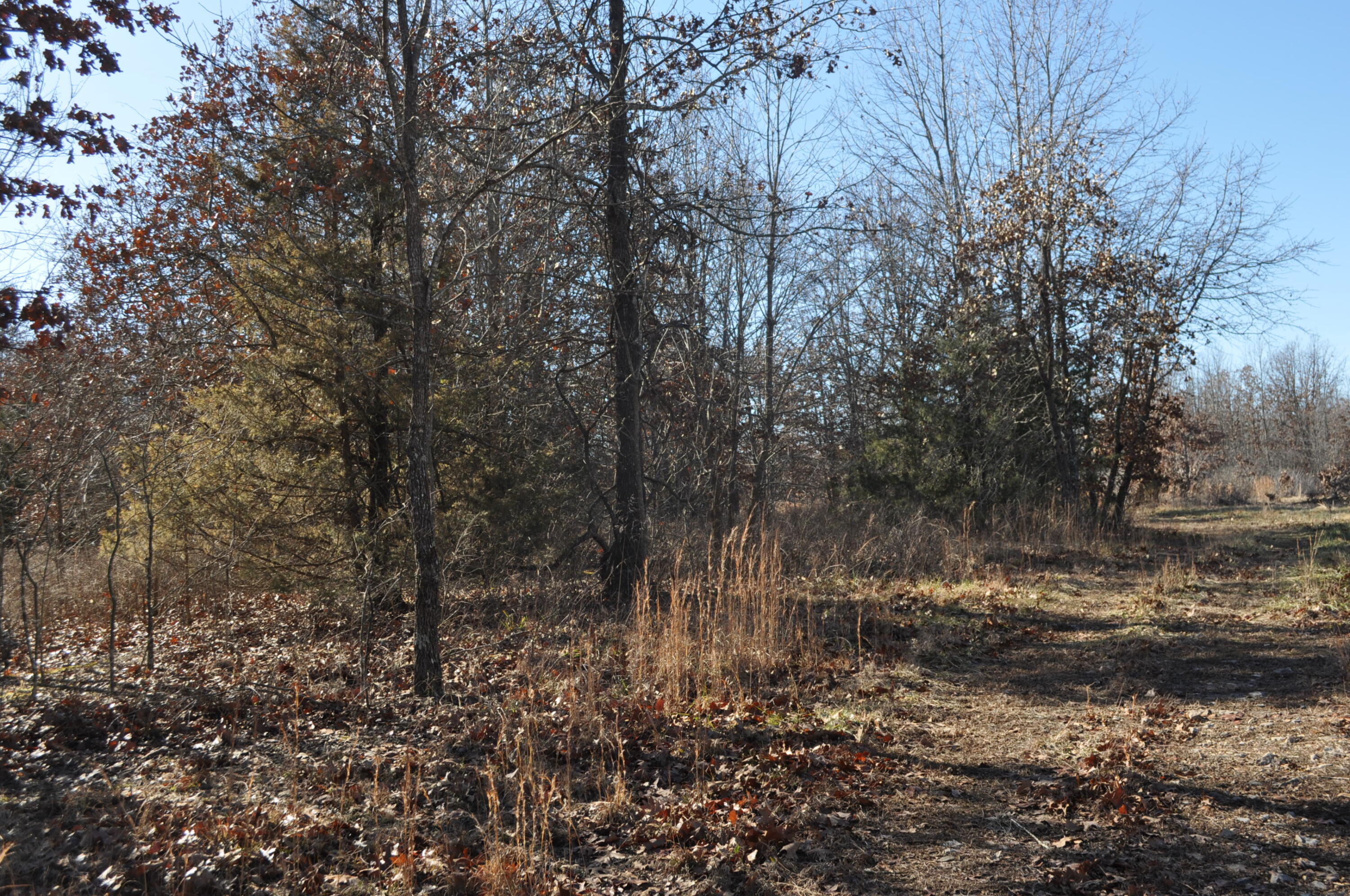 000 County Road Yy-120 Property Photo 1