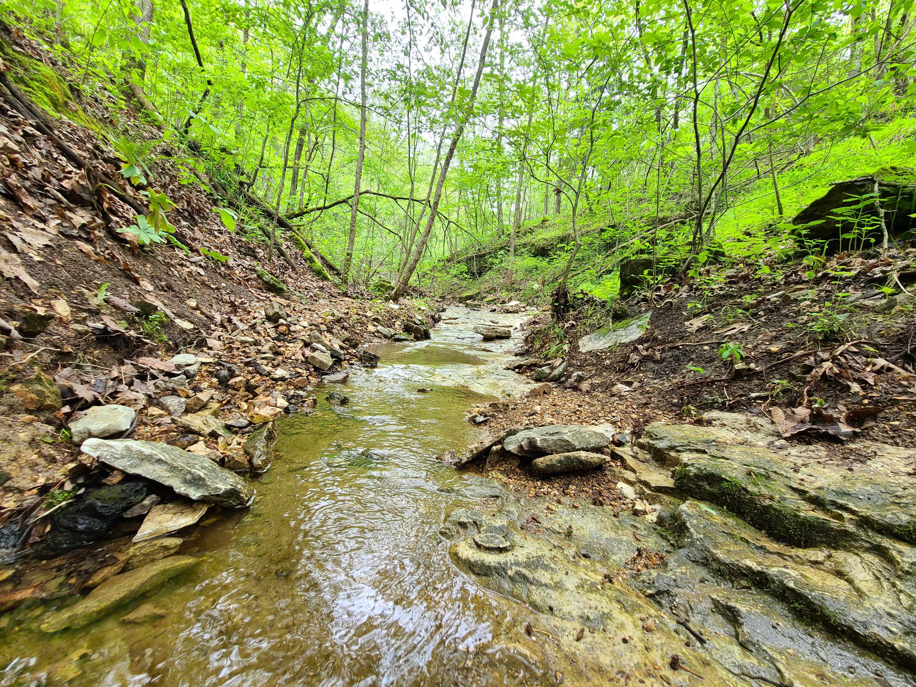 Lot 11 Buckskin Ridge Property Photo 1