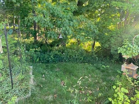 25 Pocasset Avenue Property Photo 3