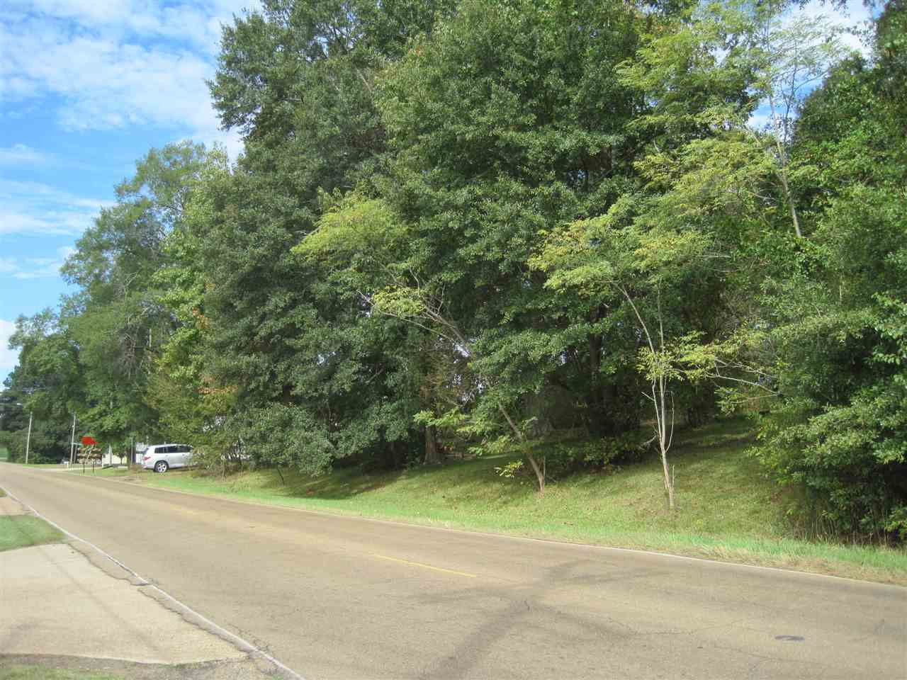 330 Elton Road Property Photo 1