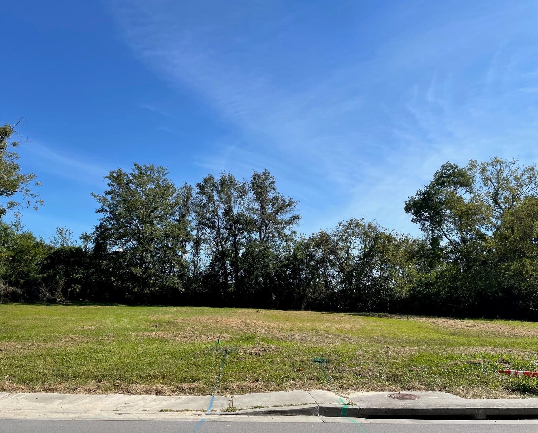 262 Crawford Street Property Photo 1