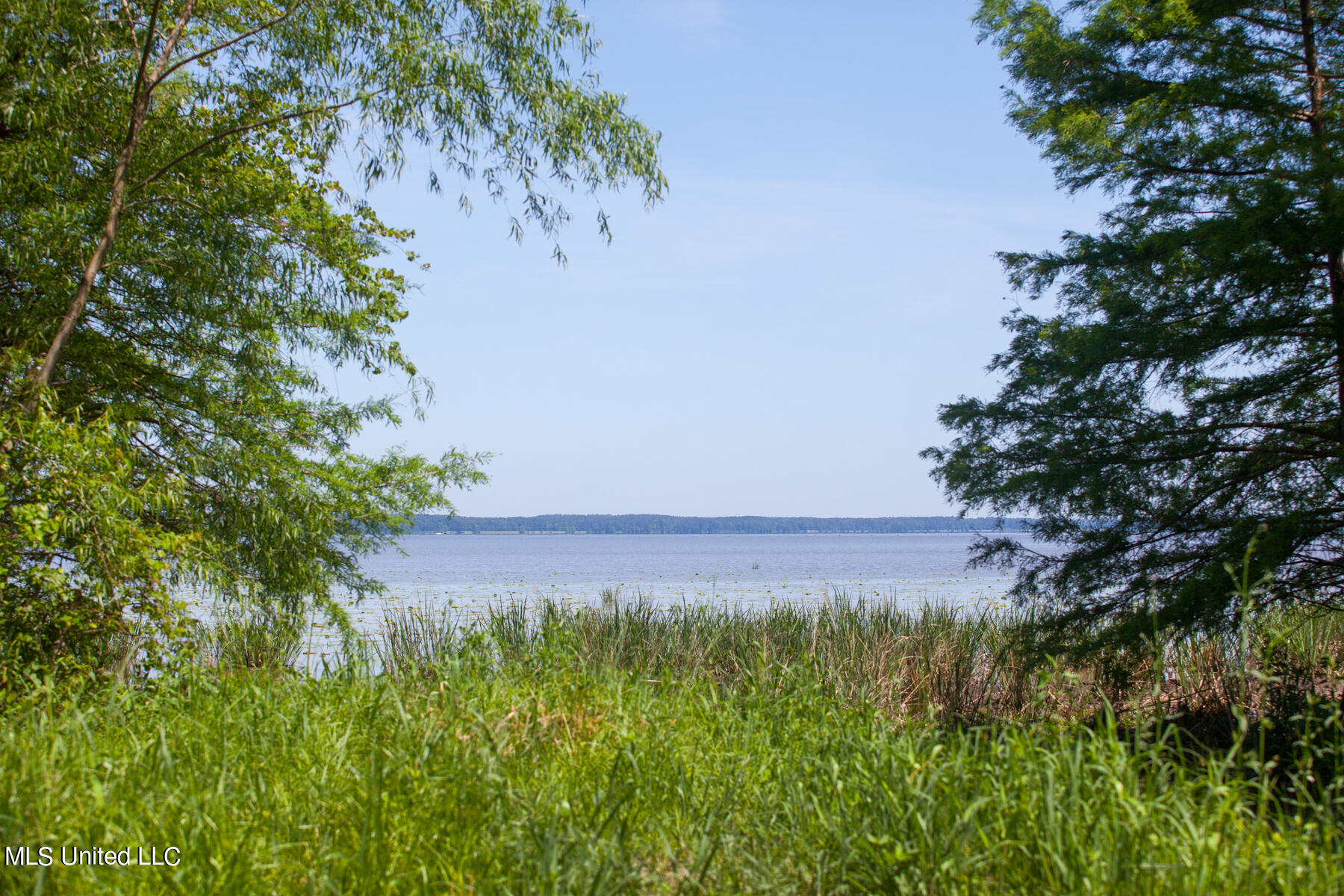 189 Crepe Myrtle Drive Property Photo 1