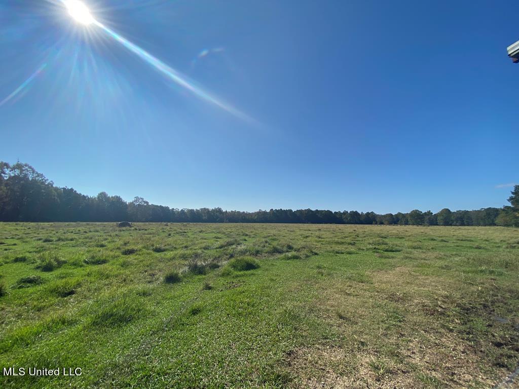 260 N Mitchel Chappel Road Property Photo 1