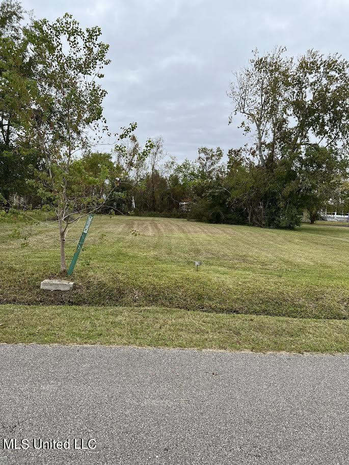 423 Merritt Street Property Photo 1
