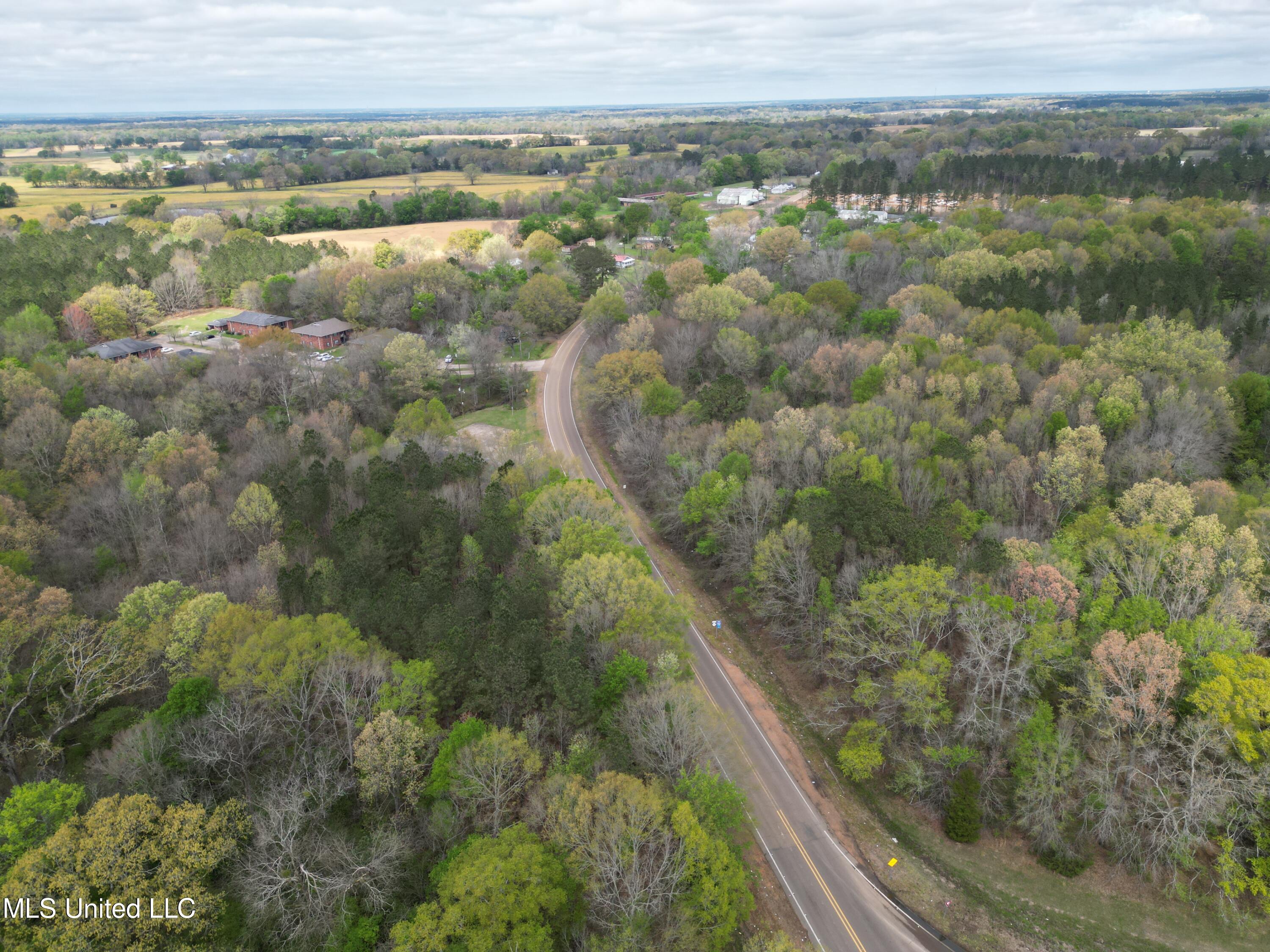 3591 Hwy 51 Property Photo 4