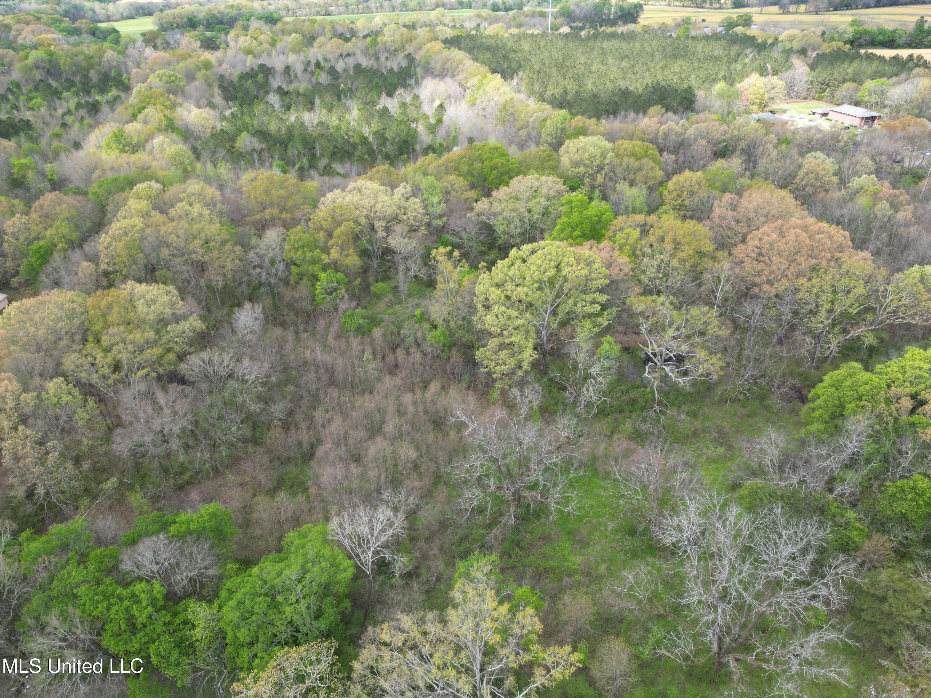 3591 Hwy 51 Property Photo 5