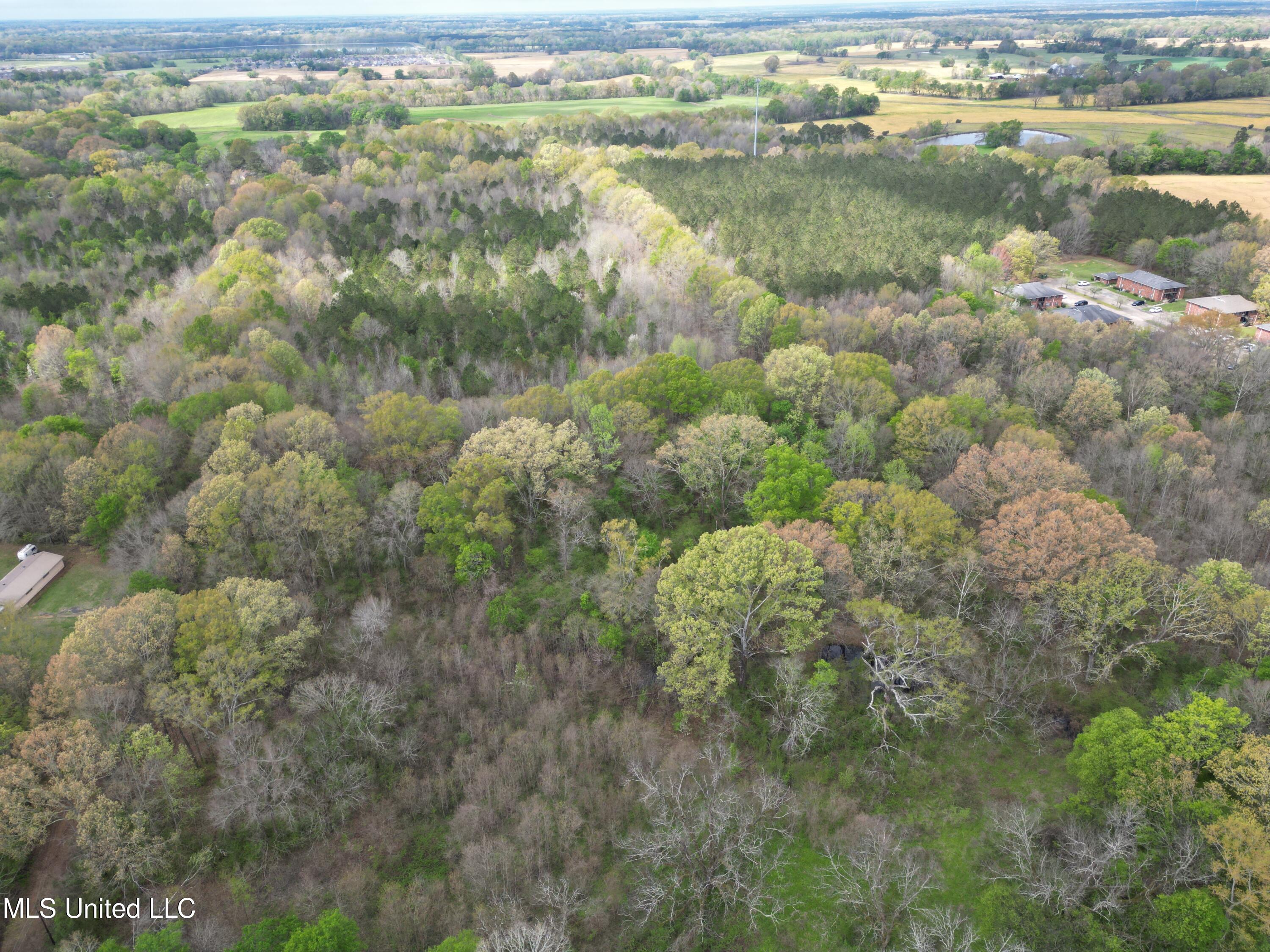 3591 Hwy 51 Property Photo 6