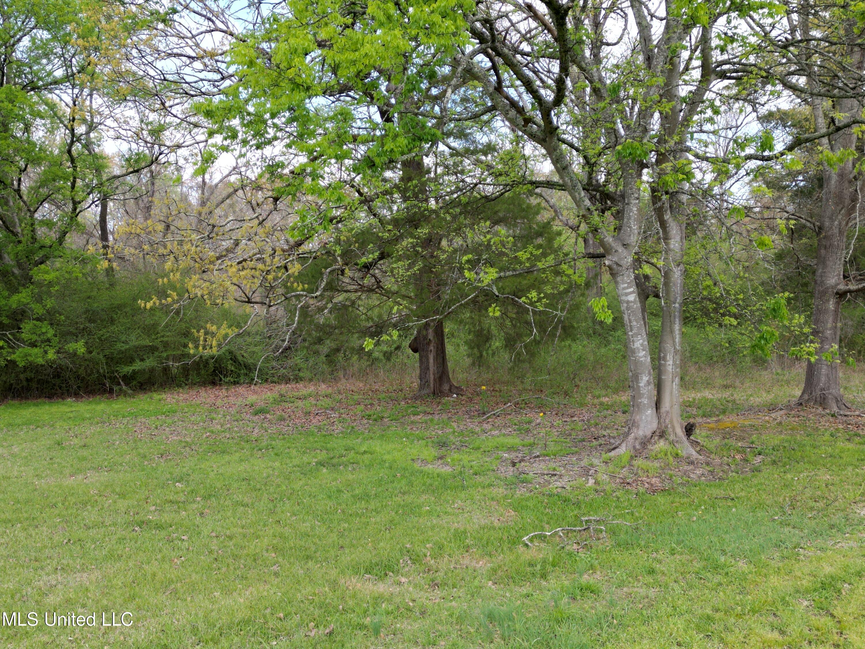 3591 Hwy 51 Property Photo 10