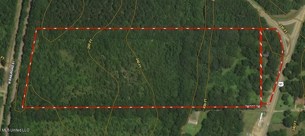 3591 Hwy 51 Property Photo 13