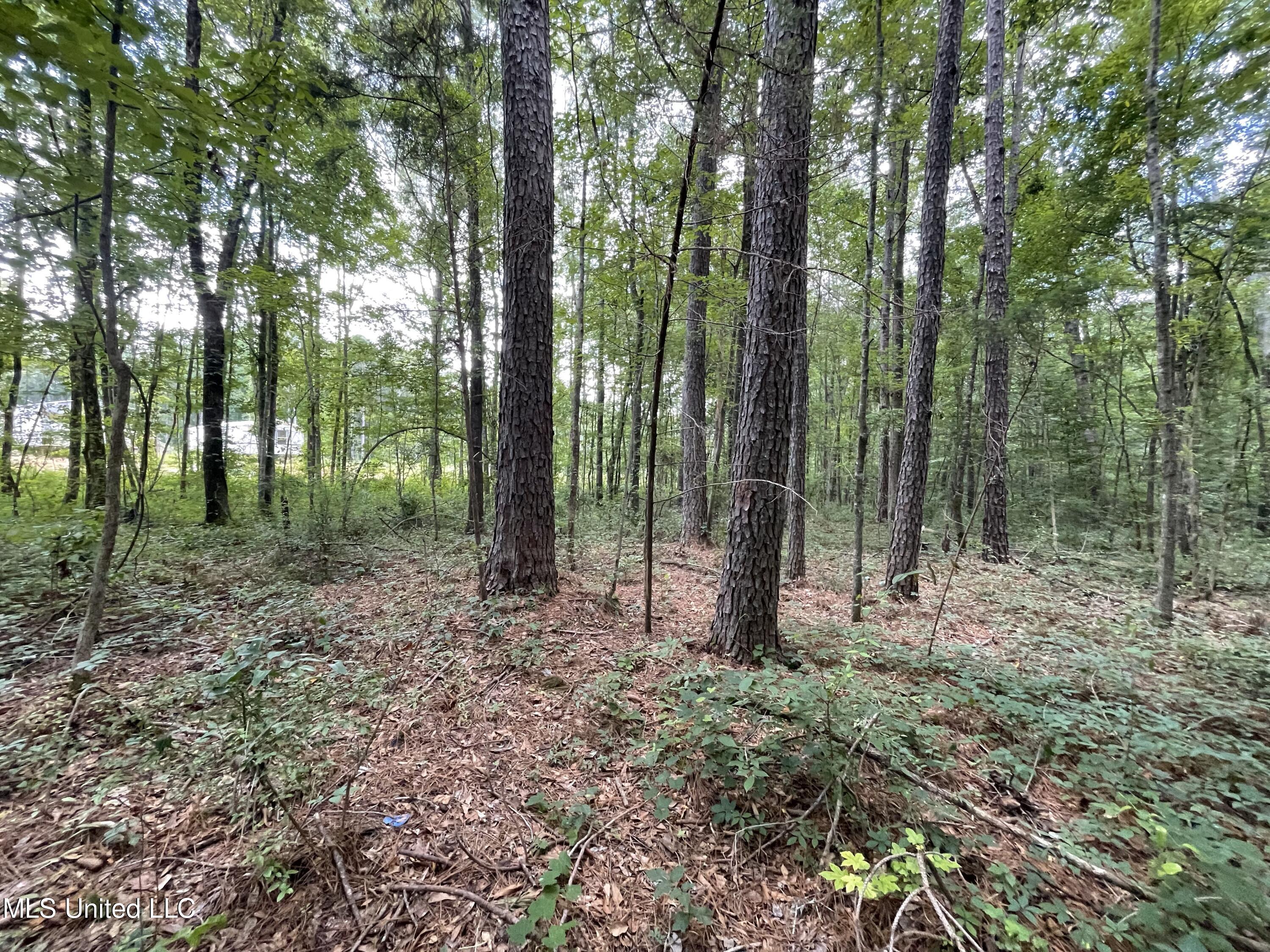 Eastside Drive Property Photo 1