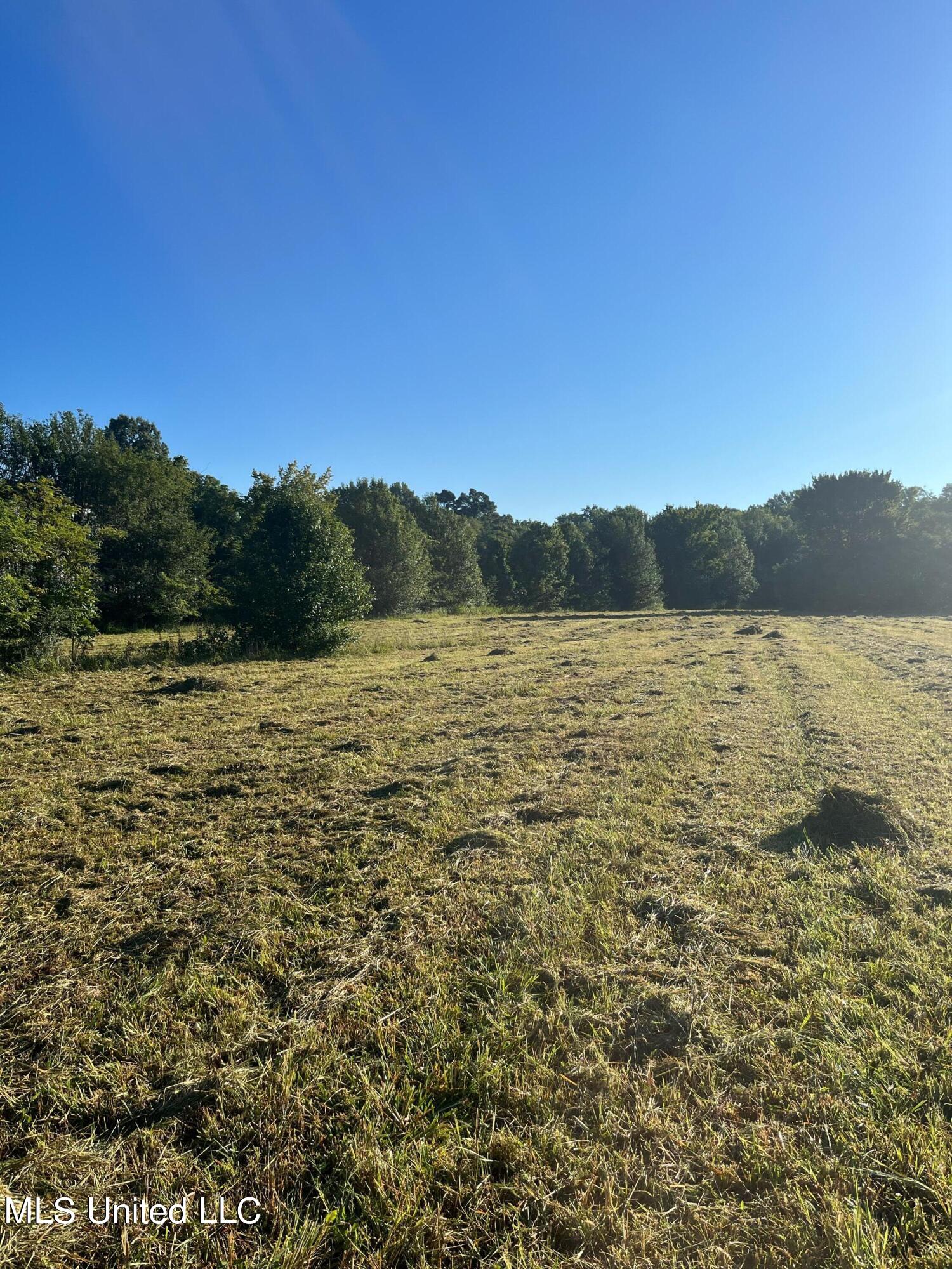 450 Vaiden Drive Property Photo 3