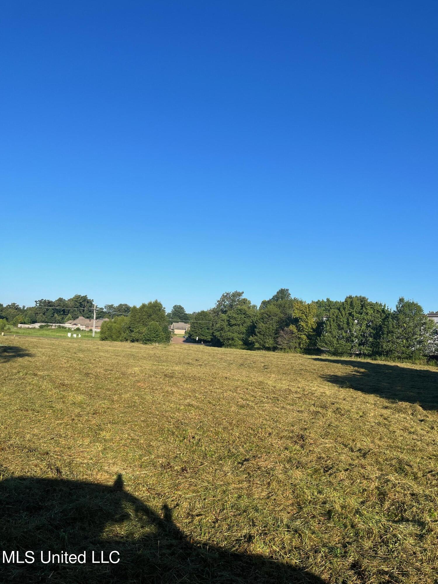 450 Vaiden Drive Property Photo 4